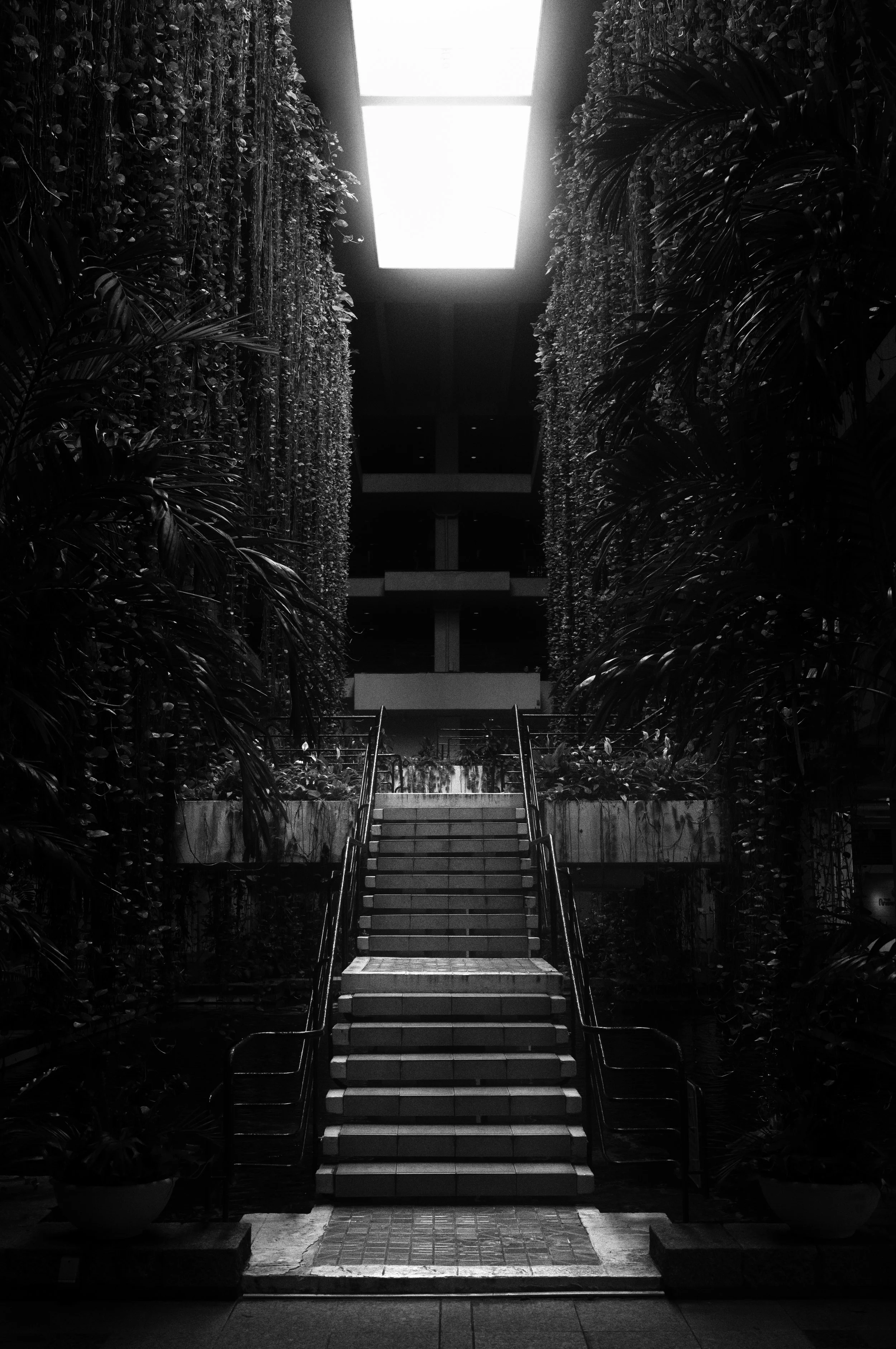 L1006671-Edit-2.jpg