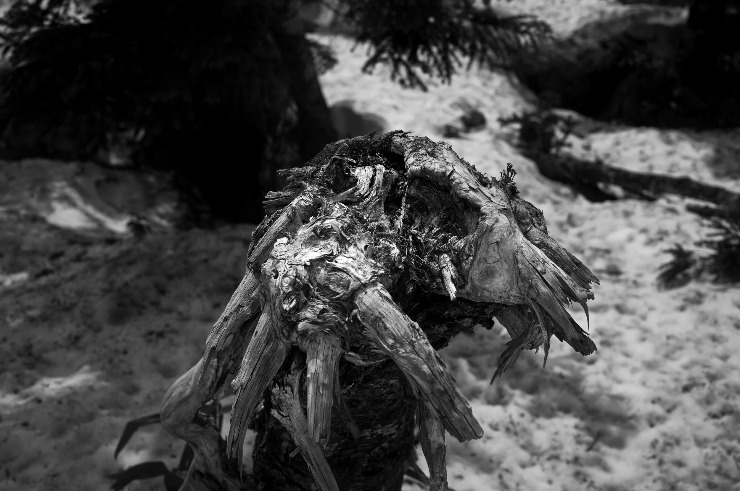 L1006320-Edit-2.jpg