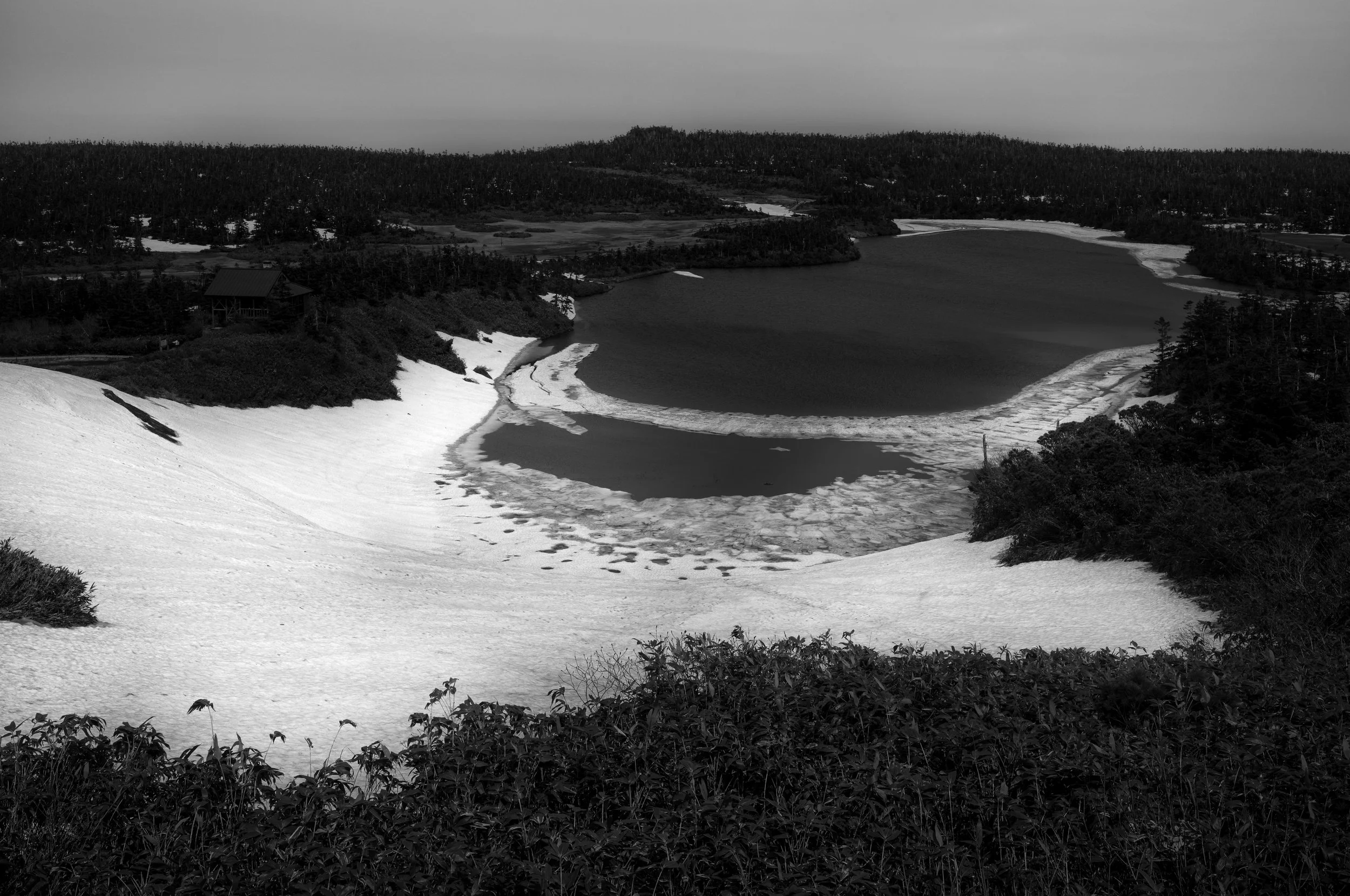 L1006344-Edit-2.jpg
