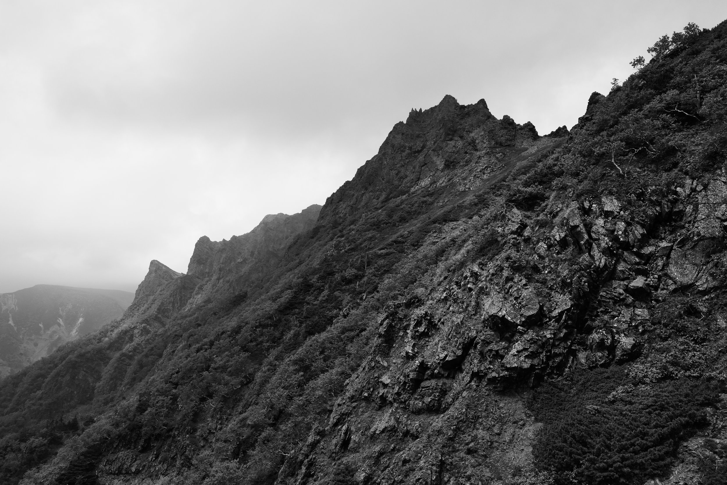 L1004982.jpg