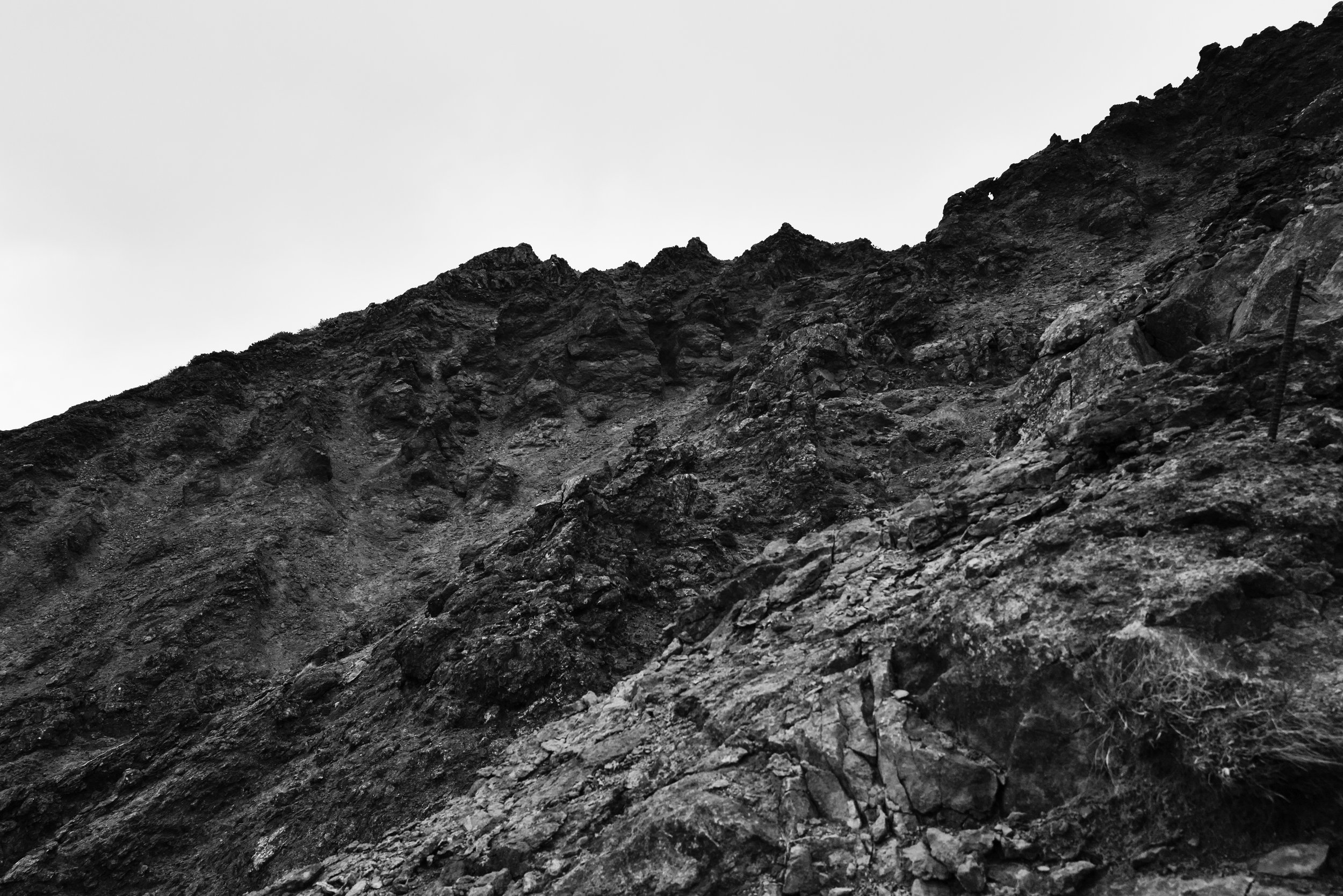 L1005000-2.jpg