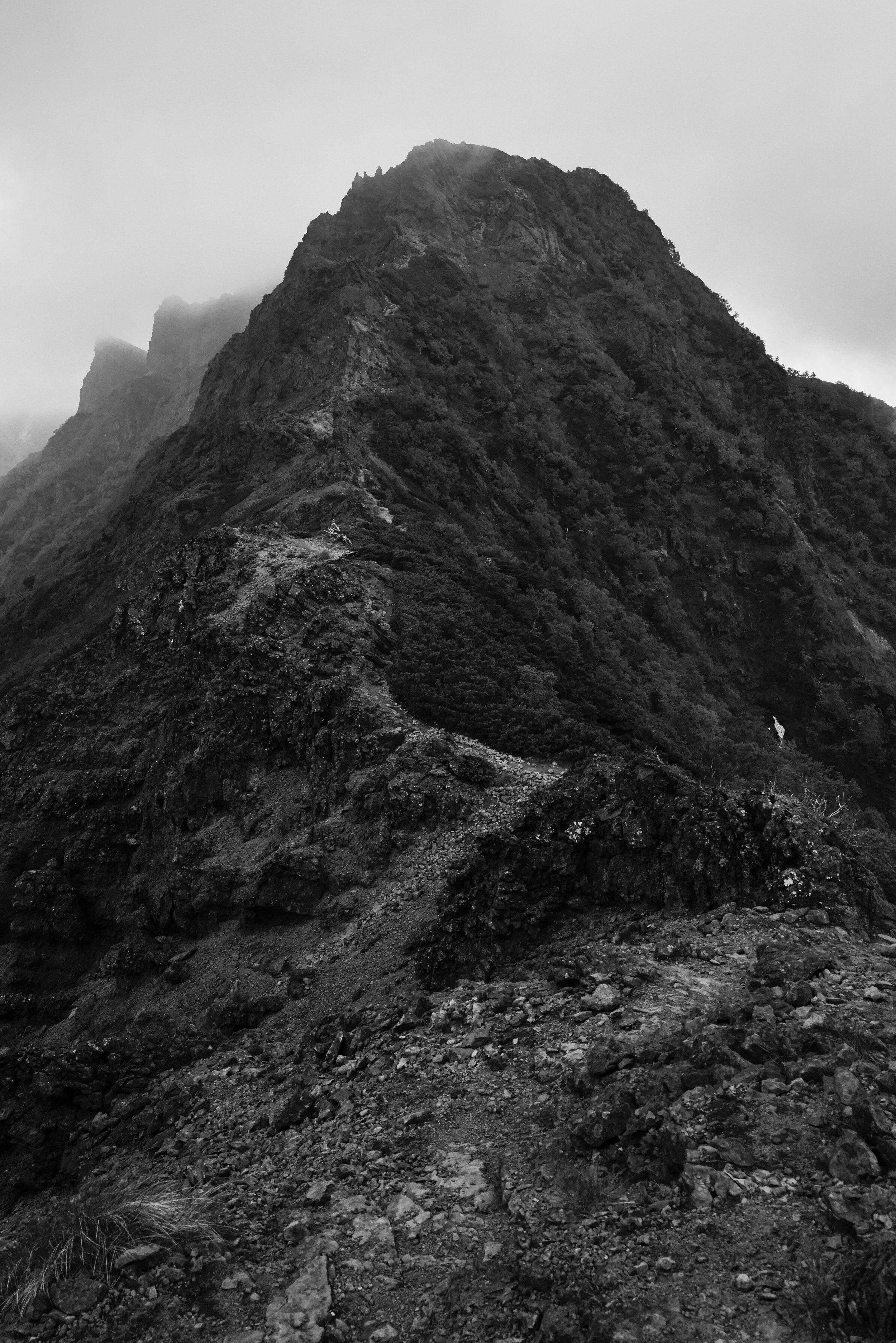 L1005025.jpg