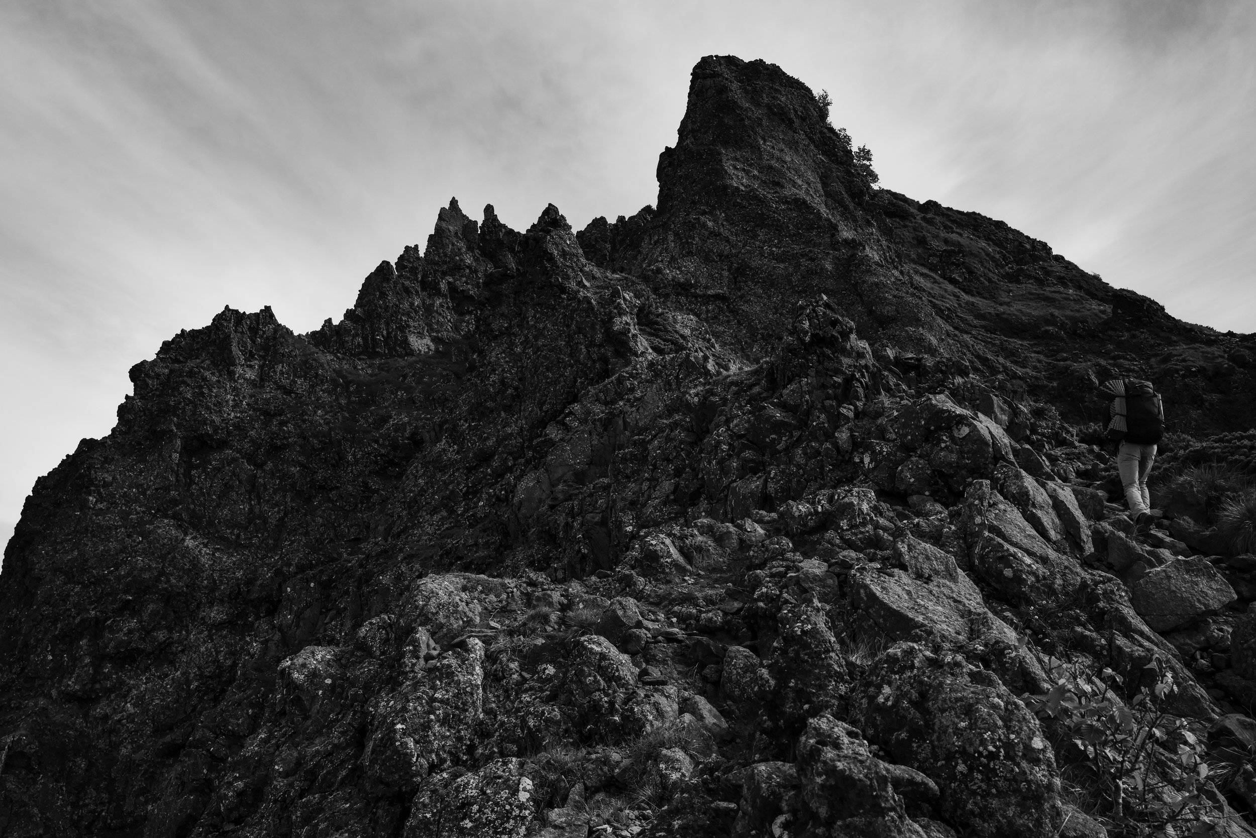 L1005124-2.jpg