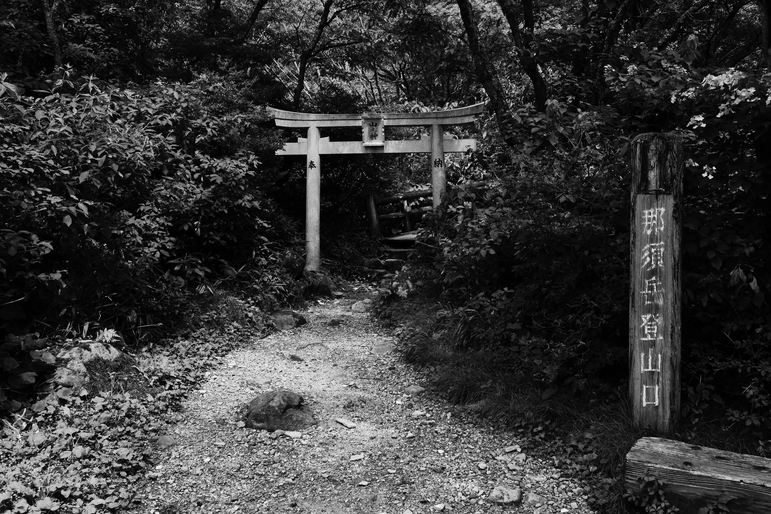 L1005175.jpg