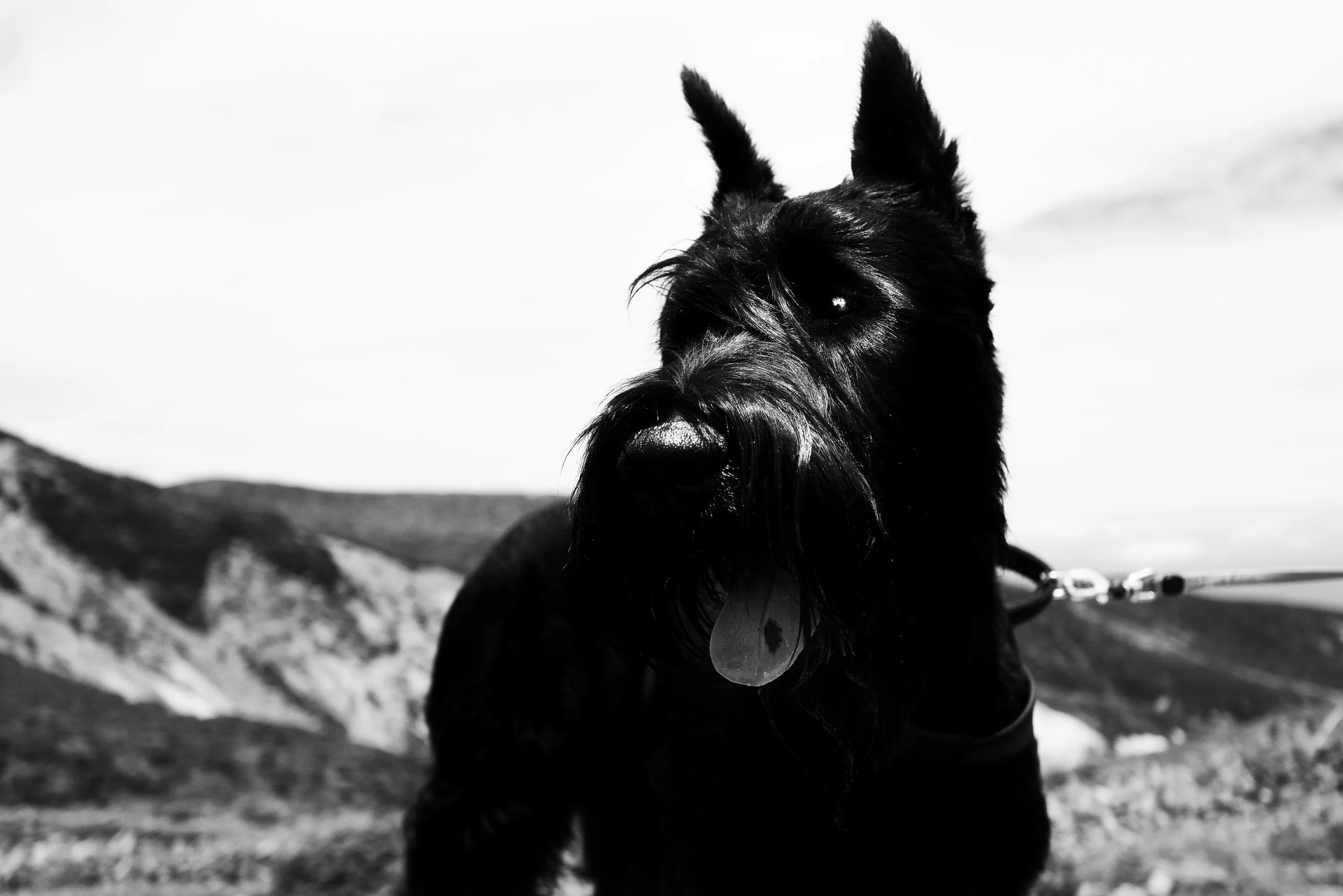 L1005243-Edit-2.jpg