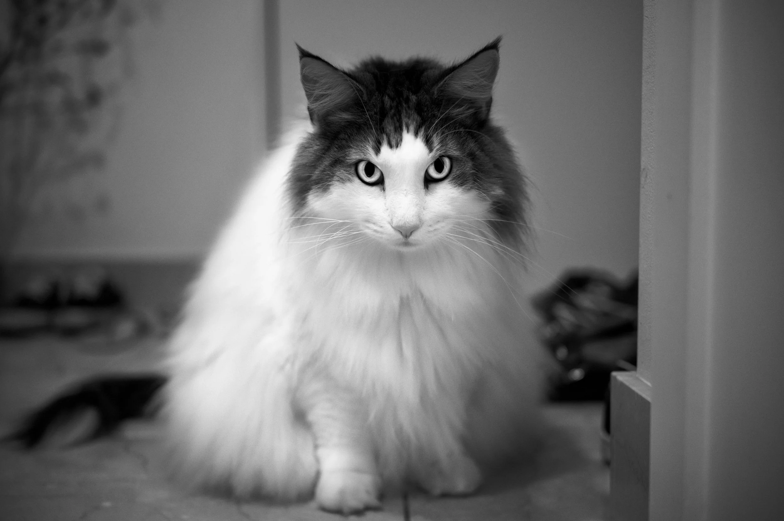 L1006206-Edit-2.jpg