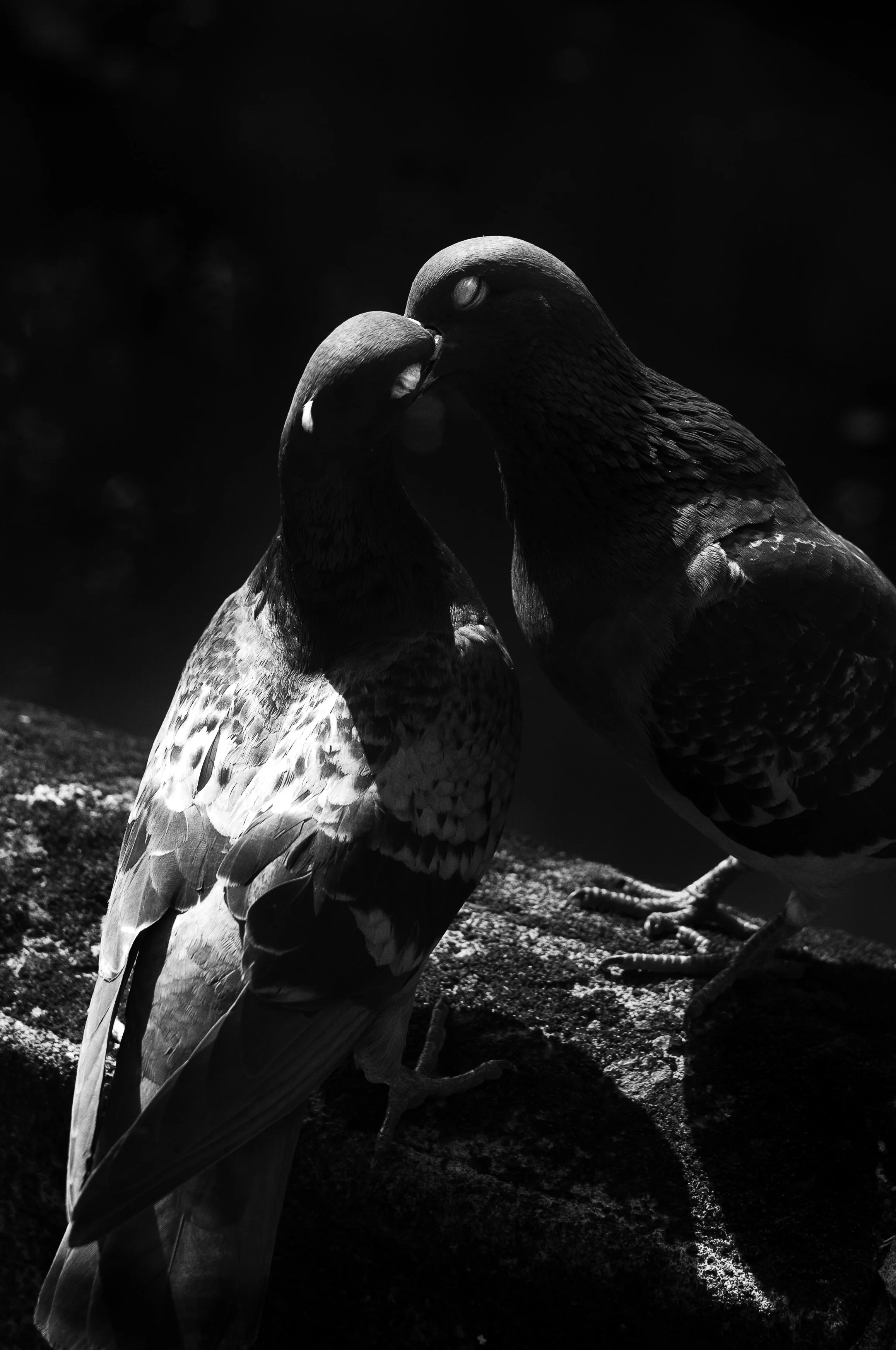 L1006887-Edit-2.jpg