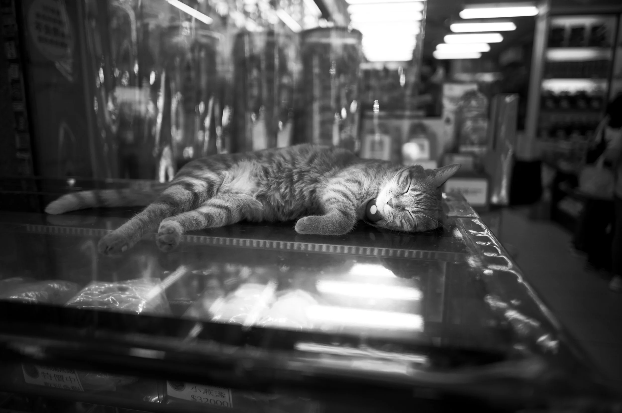 L1007945-Edit-2.jpeg