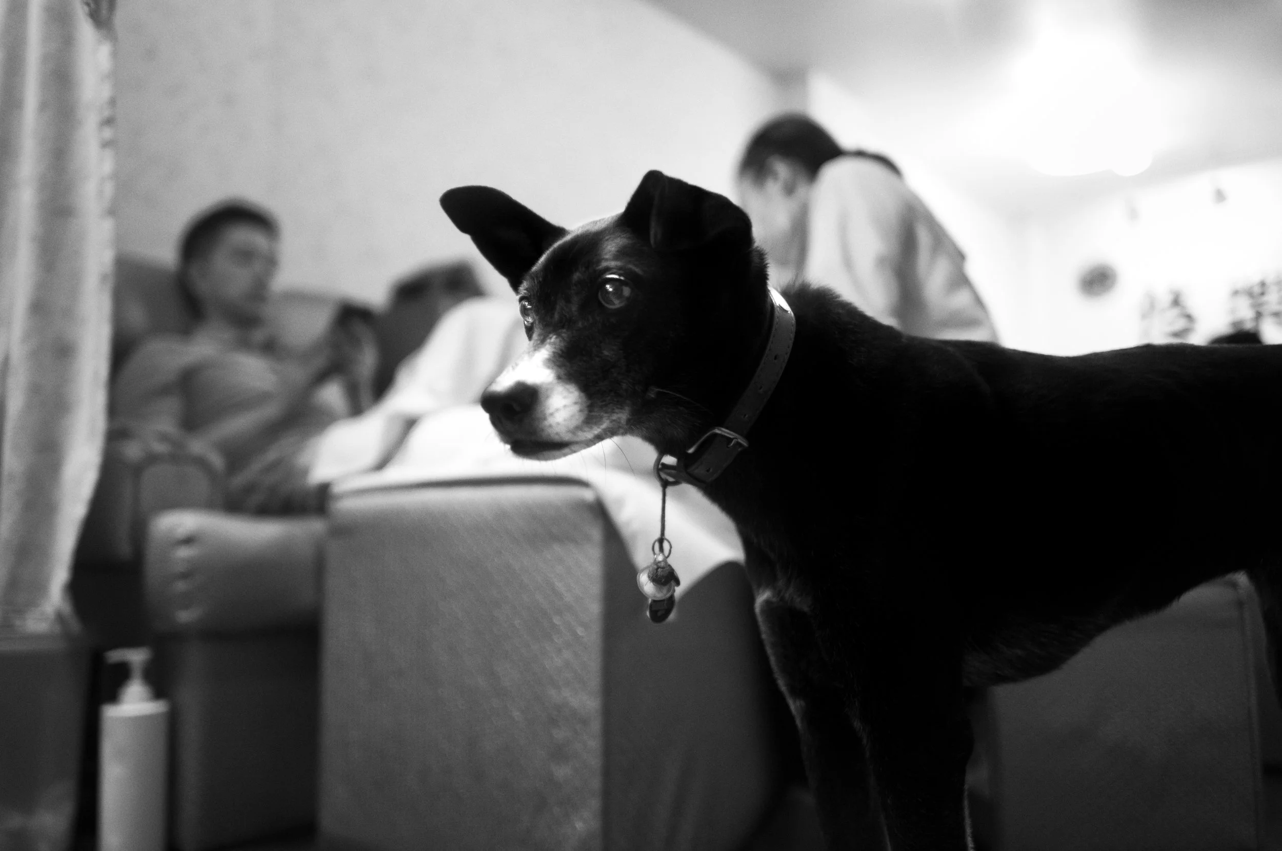 L1008079-Edit-3.jpeg