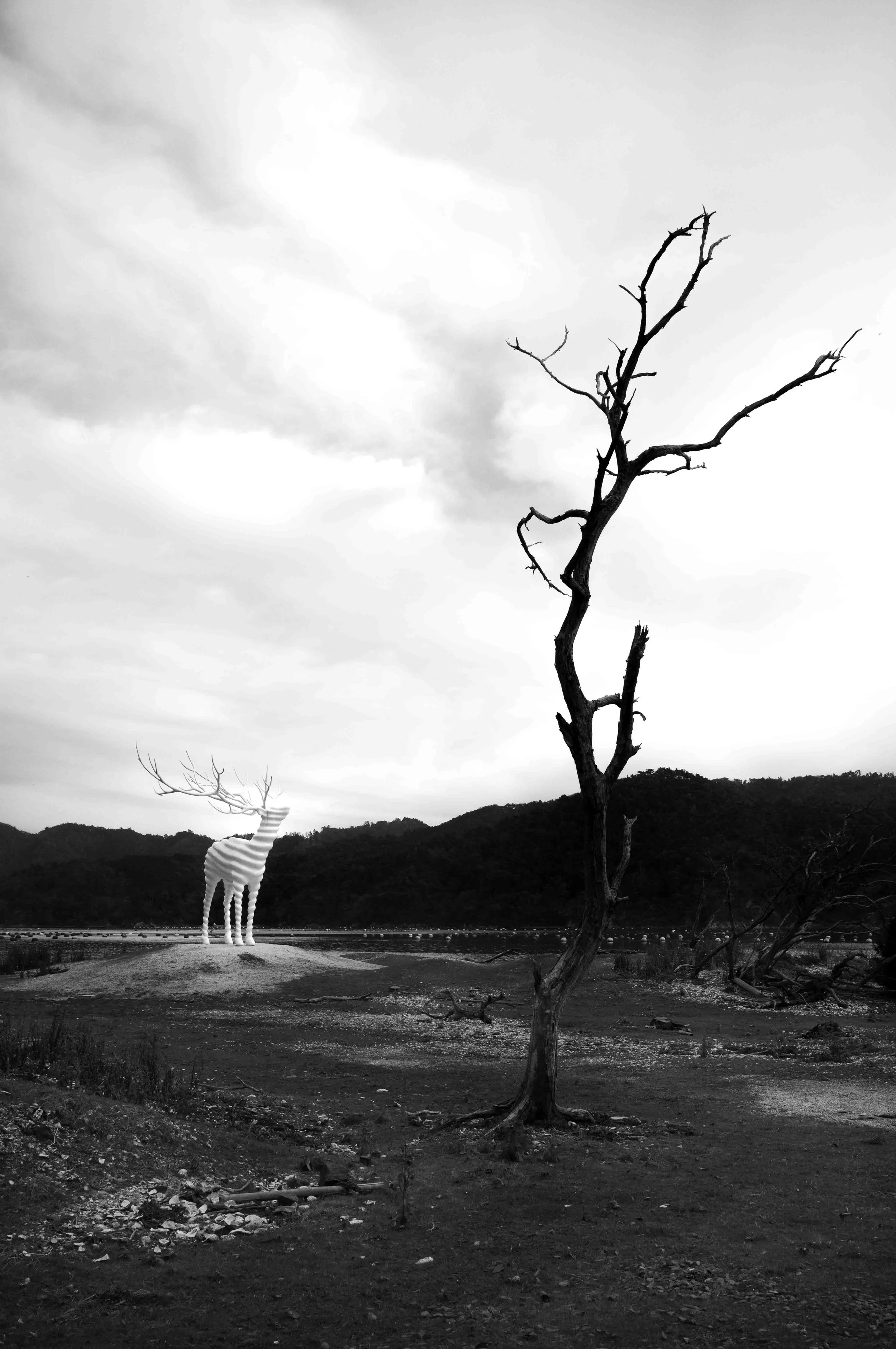 L1008762-Edit.jpg