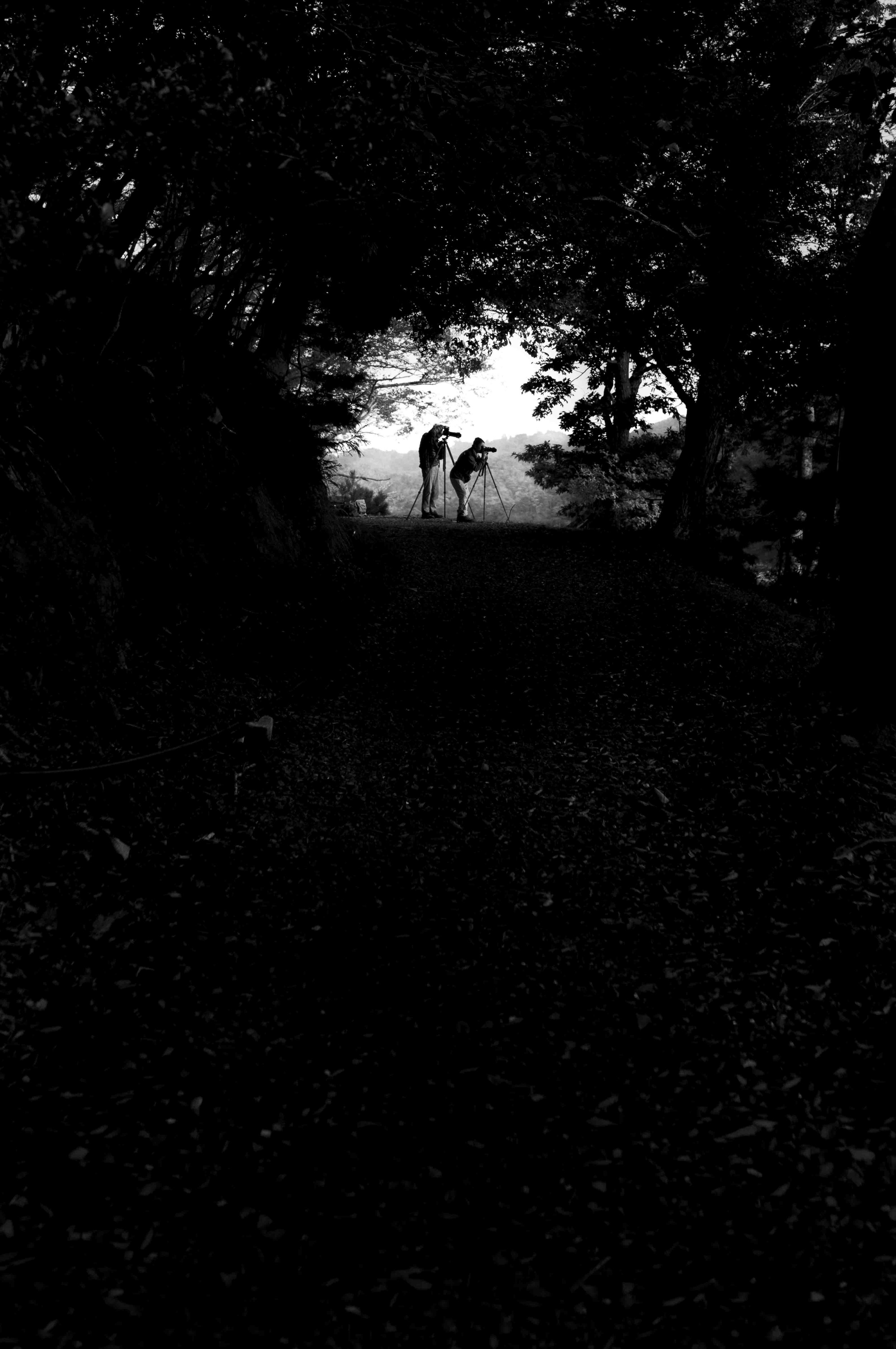 L1008791-Edit-2.jpg