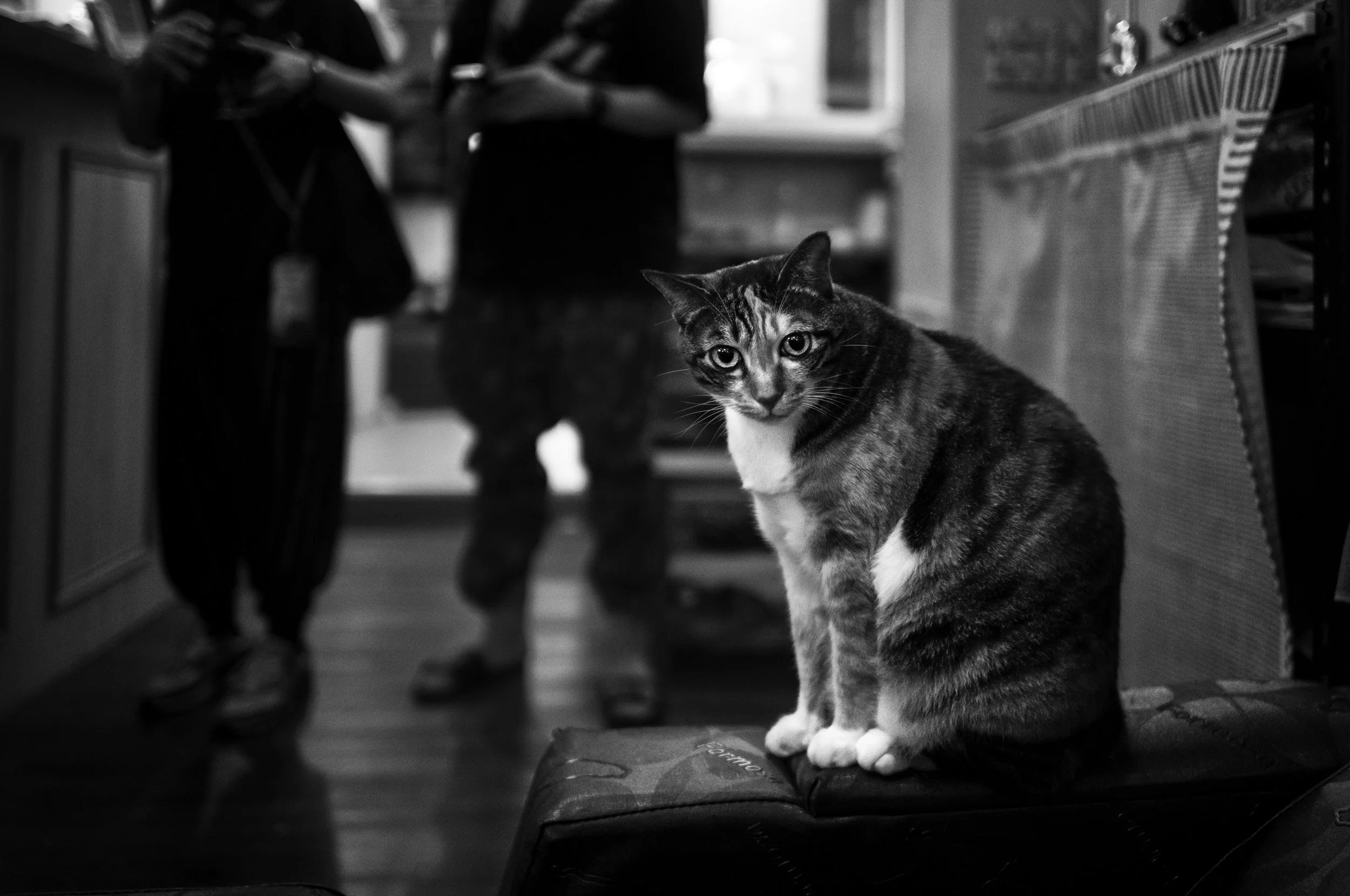 L1001613-Edit.jpg
