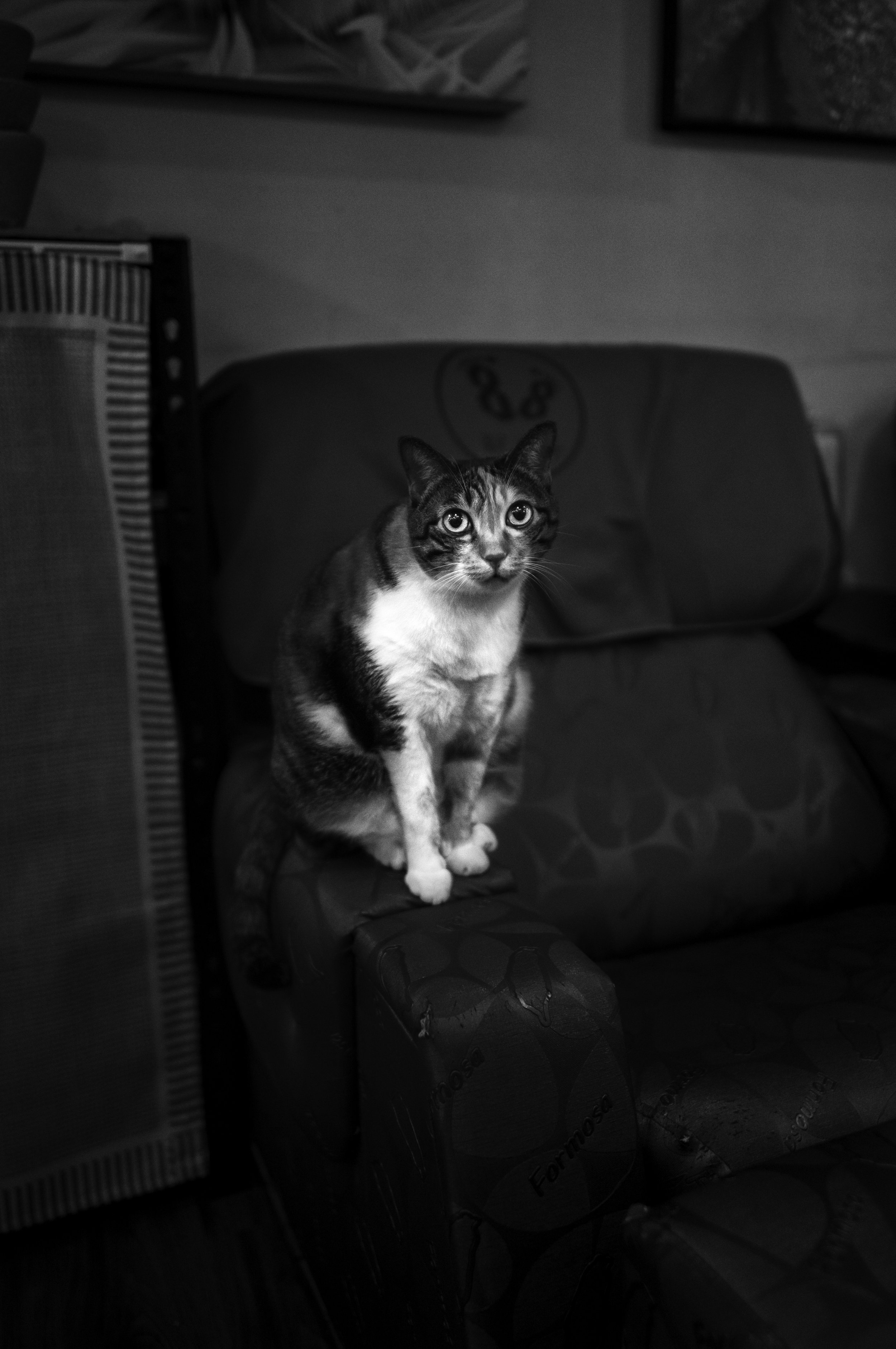 L1001615-Edit.jpg
