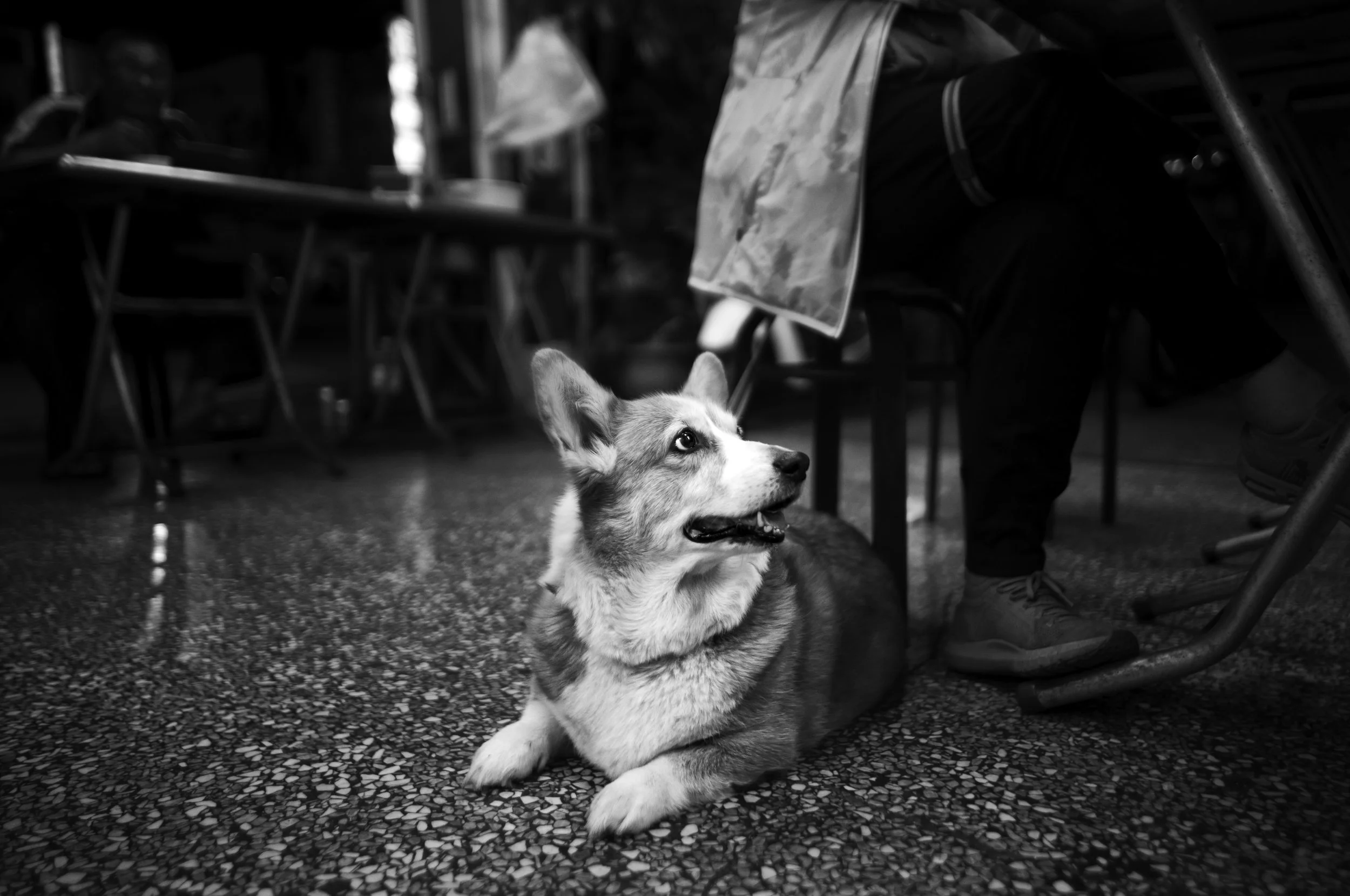 L1001825-Edit-2.jpg