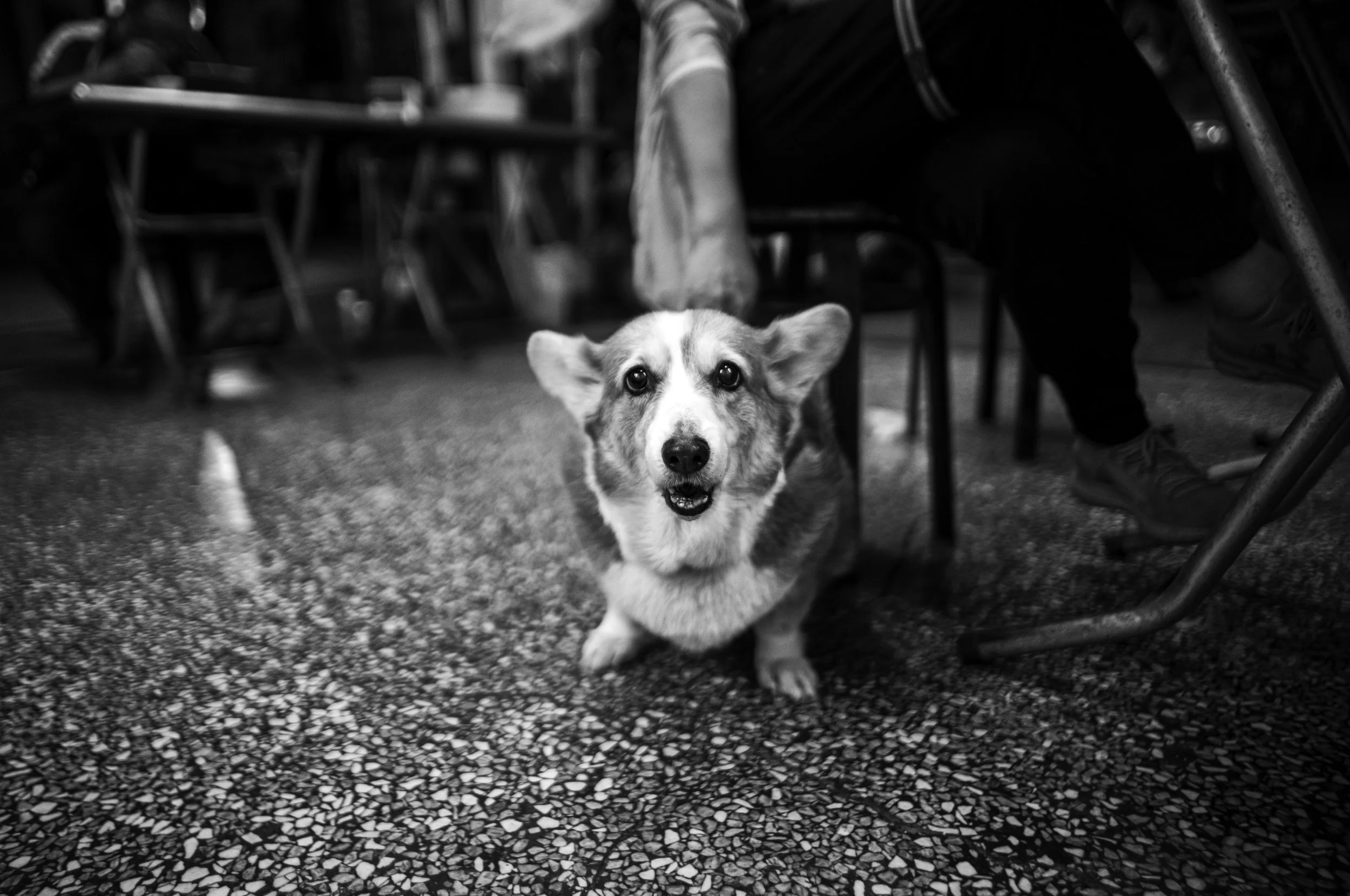 L1001822-Edit-2.jpg