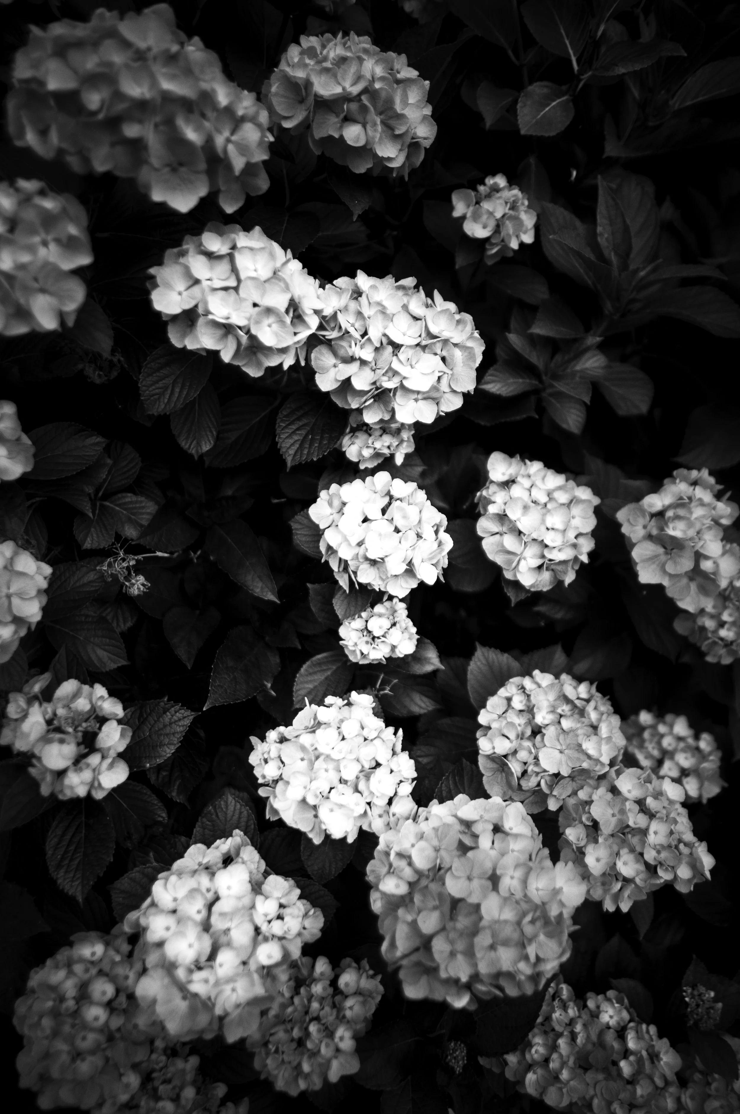 L1003489-Edit2.jpeg