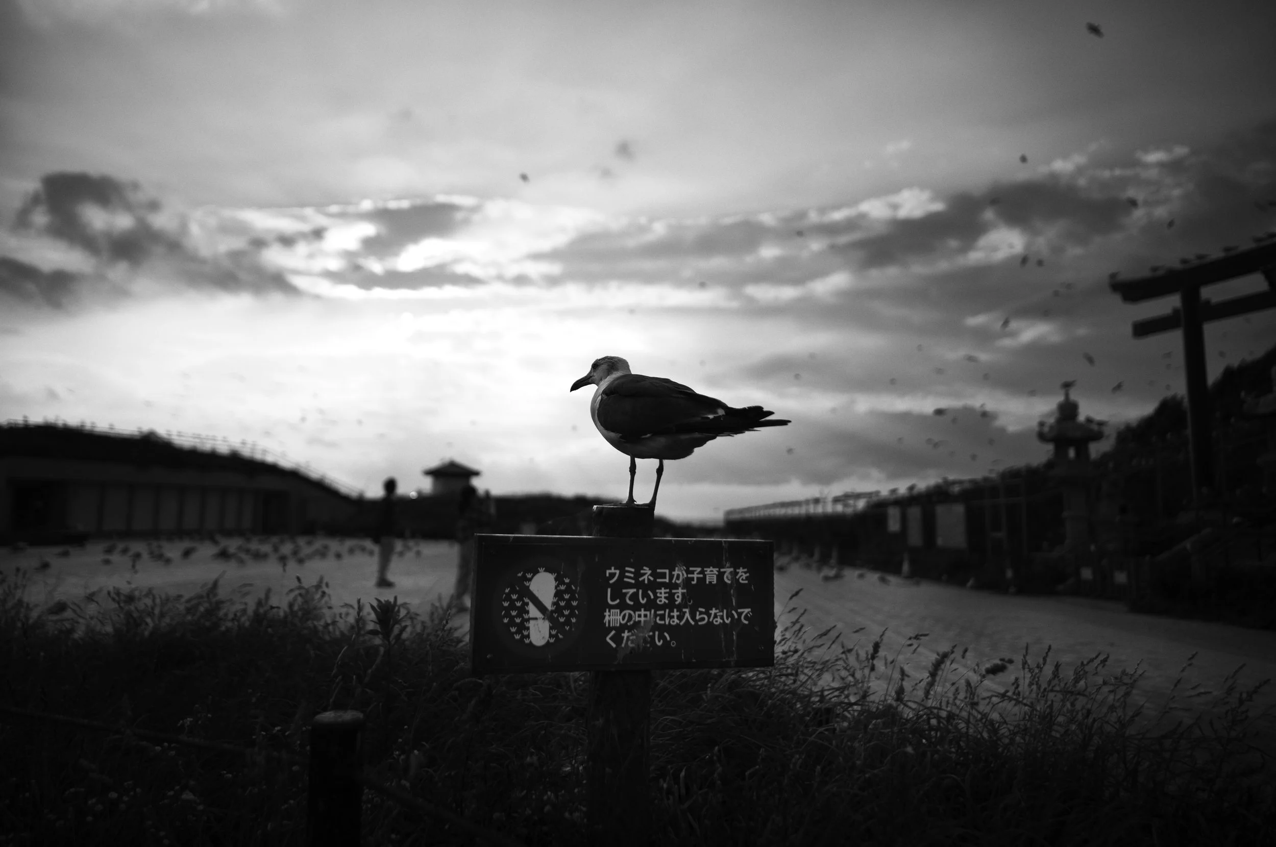L1003462-Edit2.jpeg