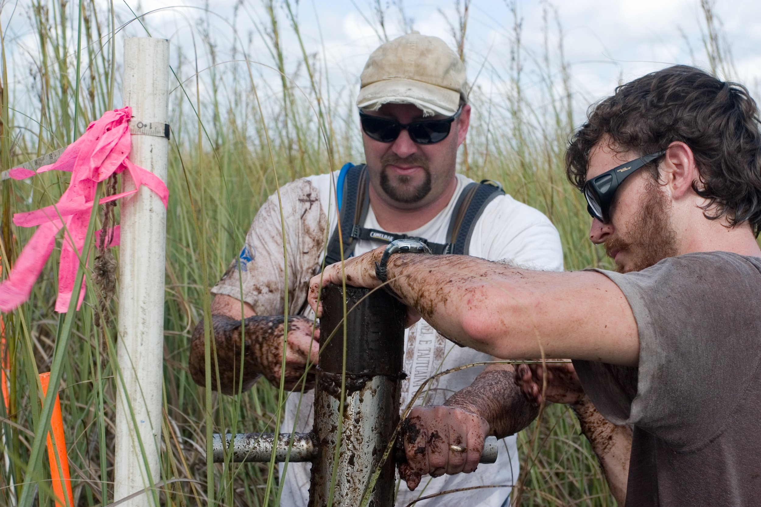 Two men working outdoors in a marshy area, handling a metal drill or instrument, with tall grass and marsh vegetation around them, pink ribbons tied to a nearby post.