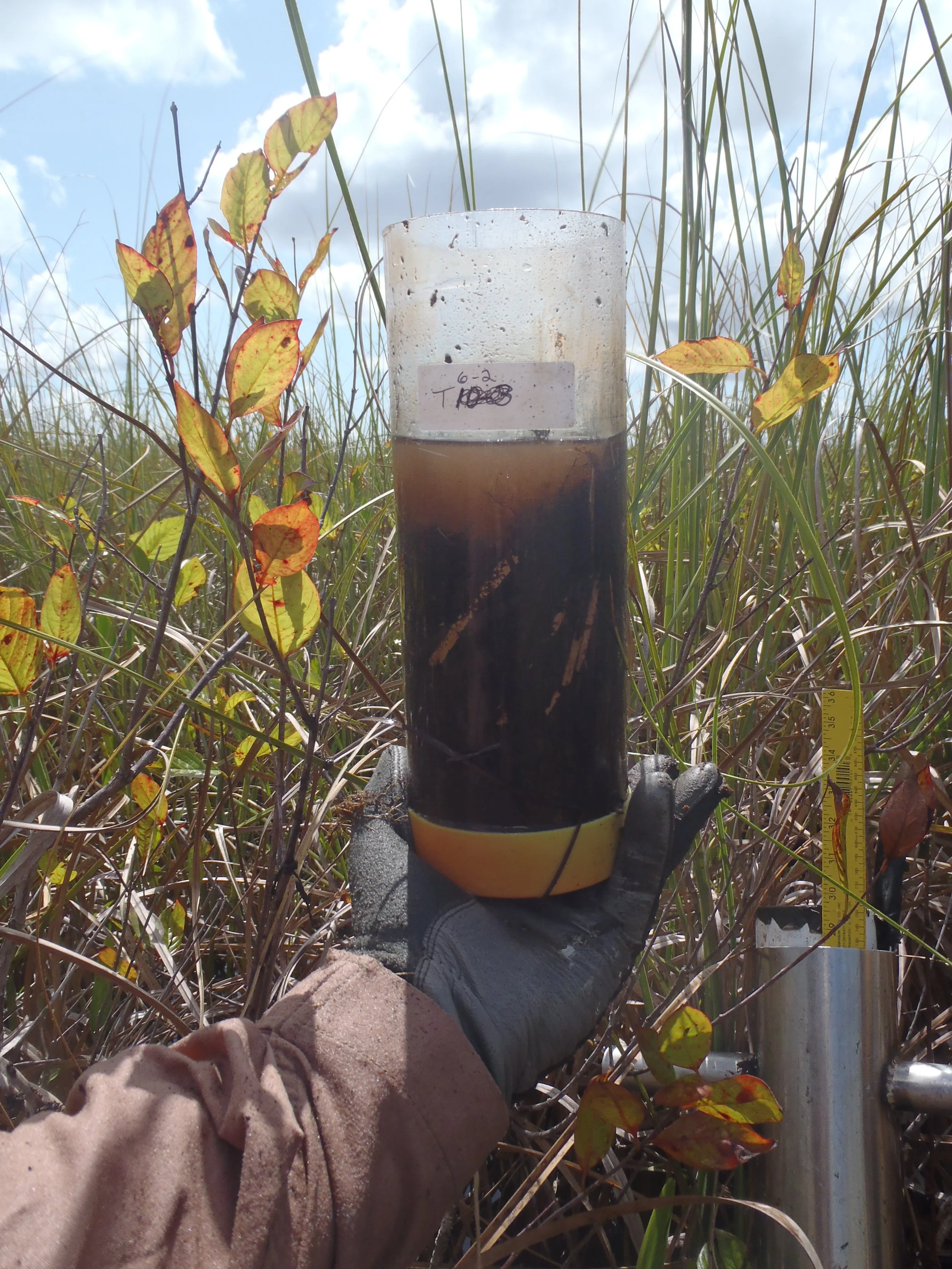 A person wearing black gloves holding a graduated cylinder filled with dark liquid in a grassy field. There is a measuring stick and a label with handwritten notes attached to the cylinder. The sky is partly cloudy.