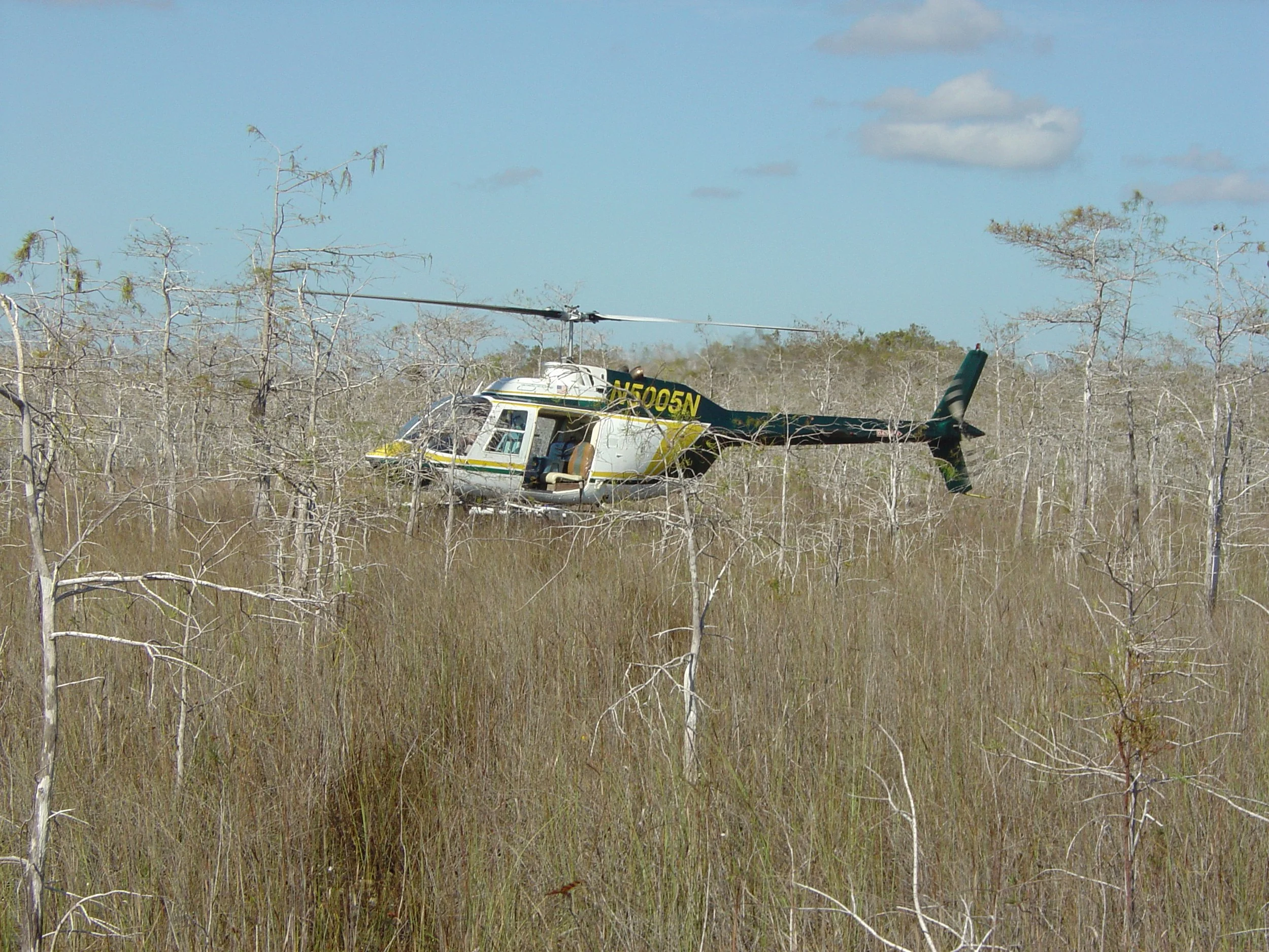 A helicopter flying low over a dry, grassy, and sparse forest landscape with leafless trees and a cloudy blue sky.