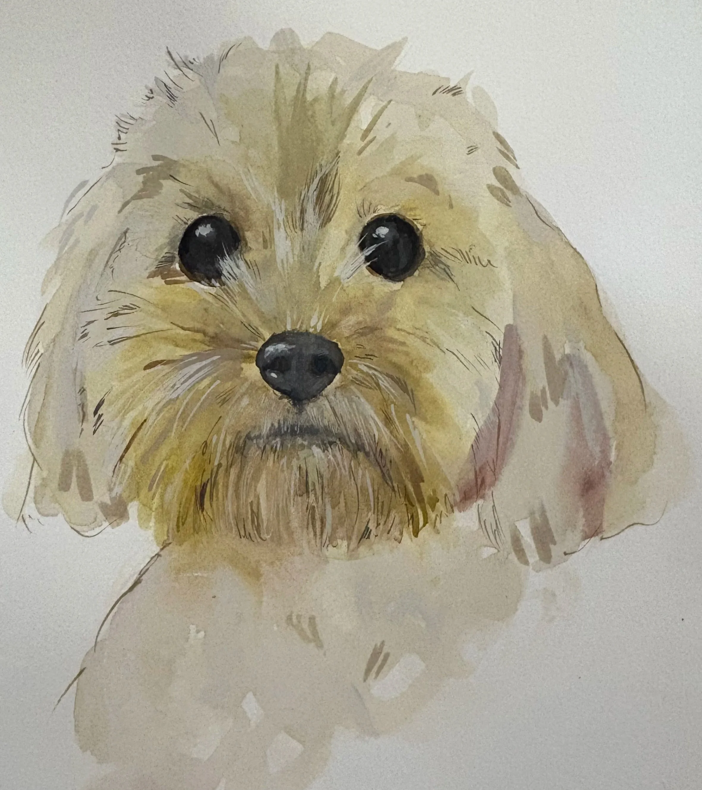 Watercolour Pet Portraits