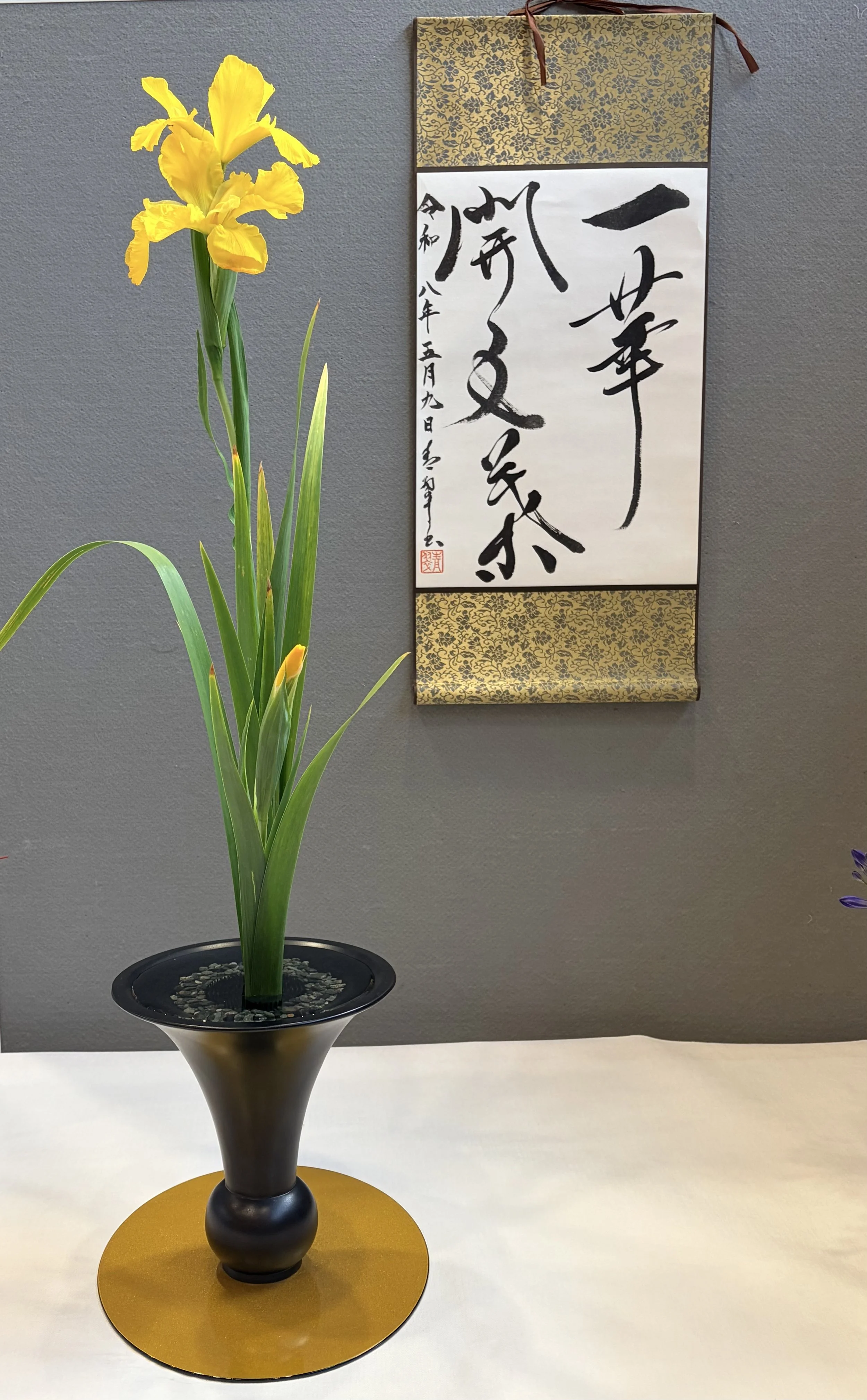 IMG_7128 (002).jpeg