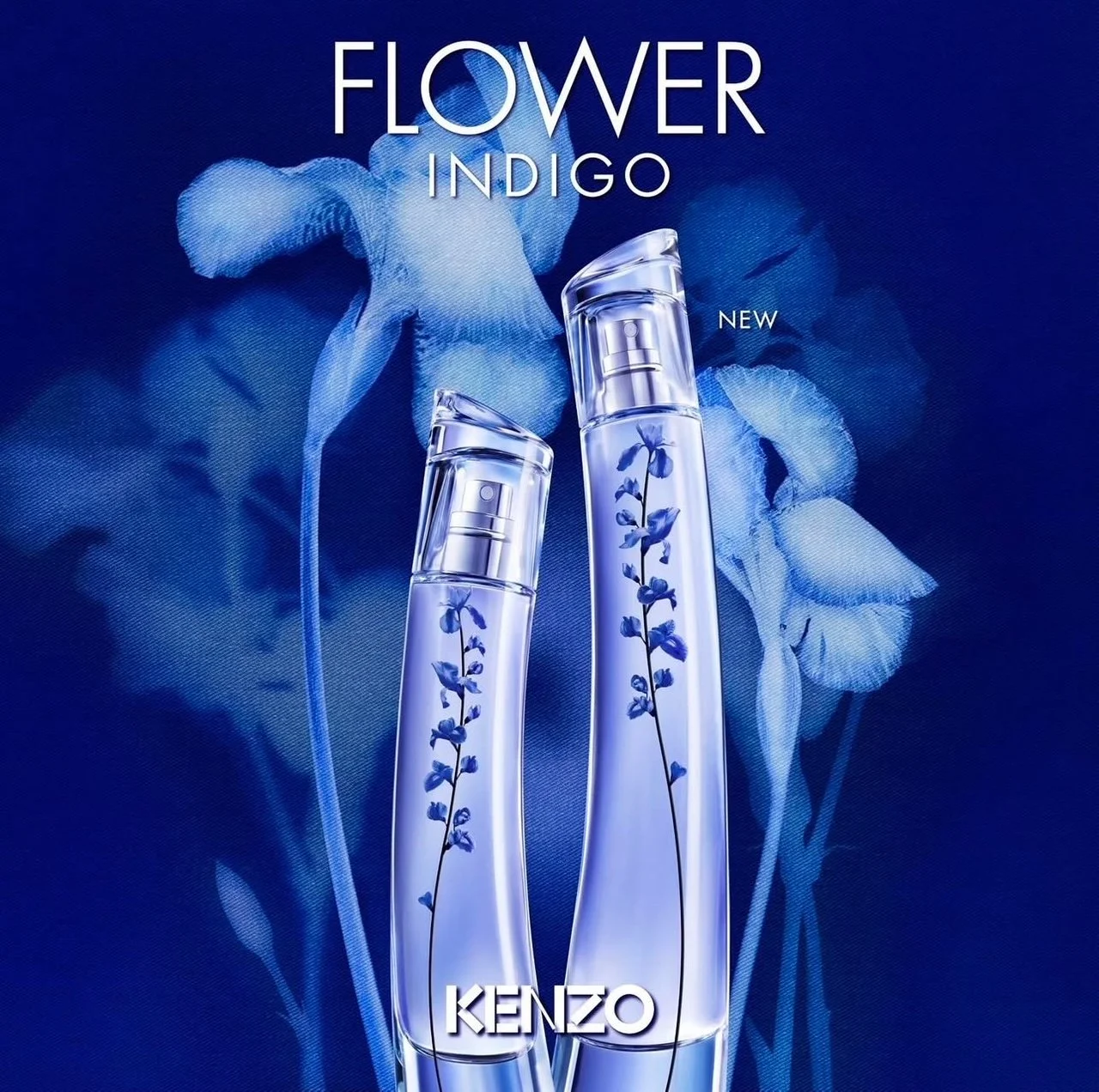 kenzo2.jpg