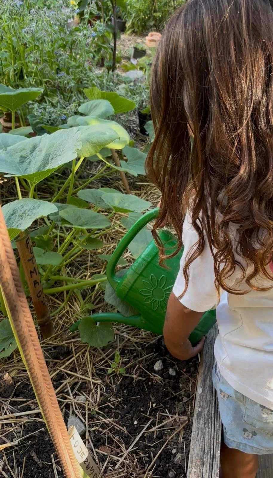 prendre soin du jardin des Possibles