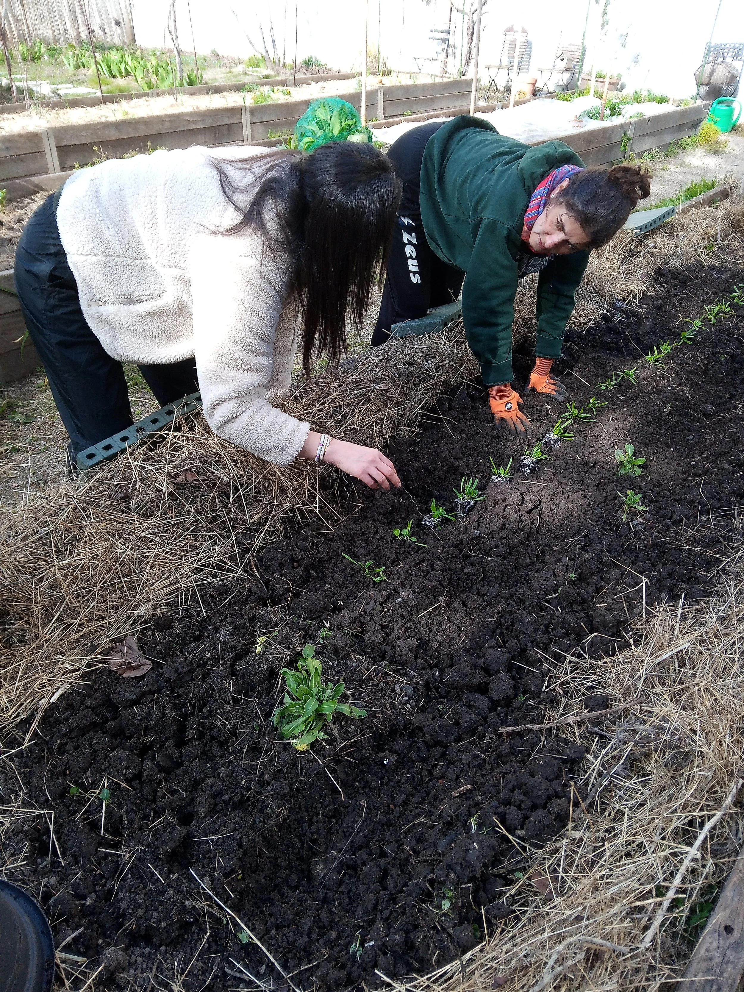 plantation, jardin des Possibles