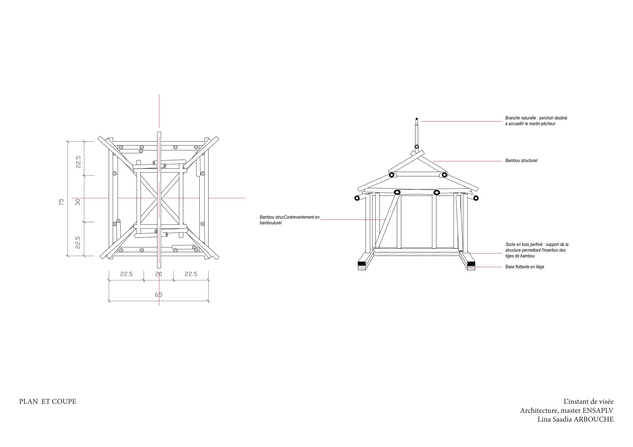 PLAN ET COUPE-1.png