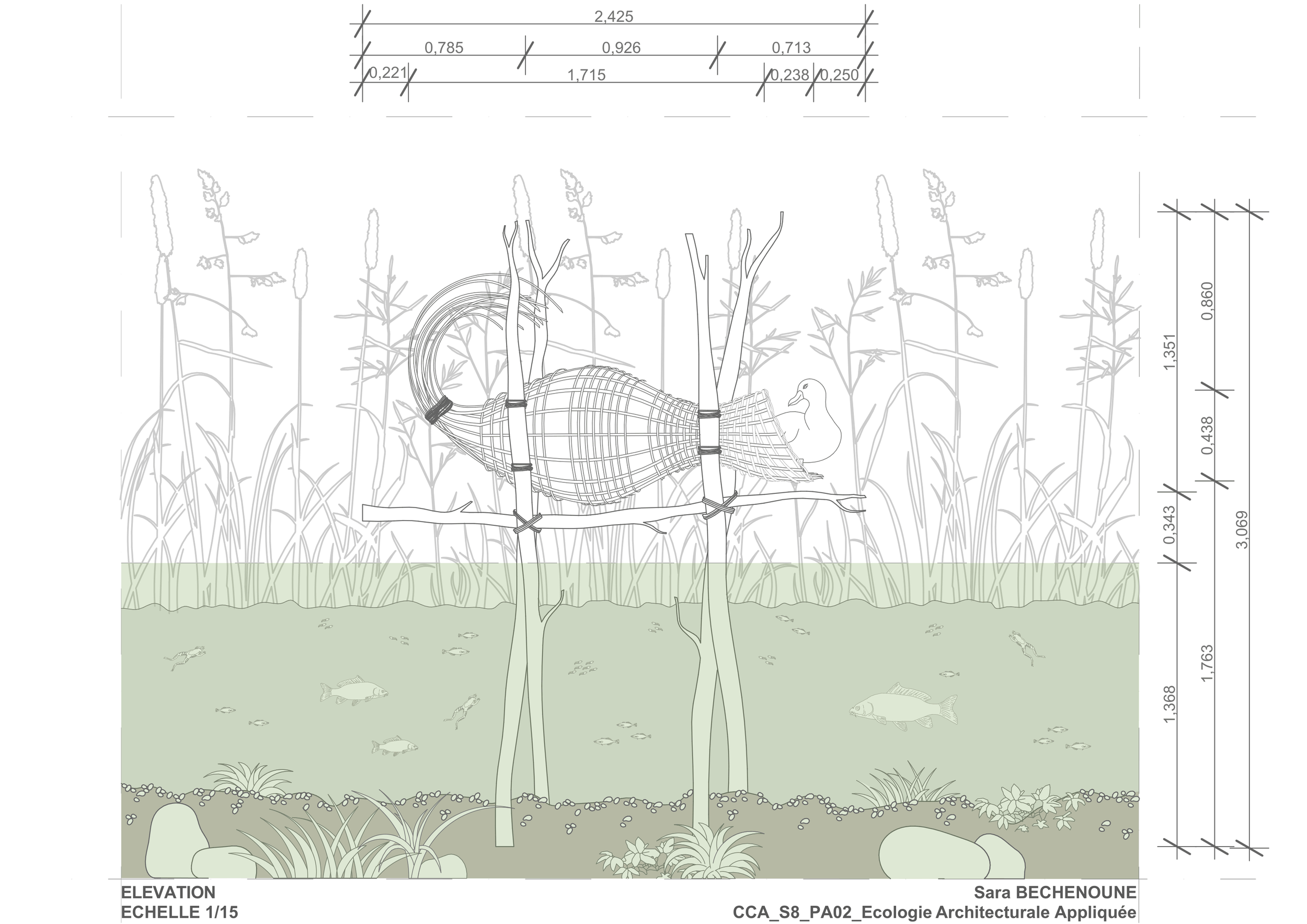 1_Elevation_plume_tresée_Sara_Bechenoune-1.png