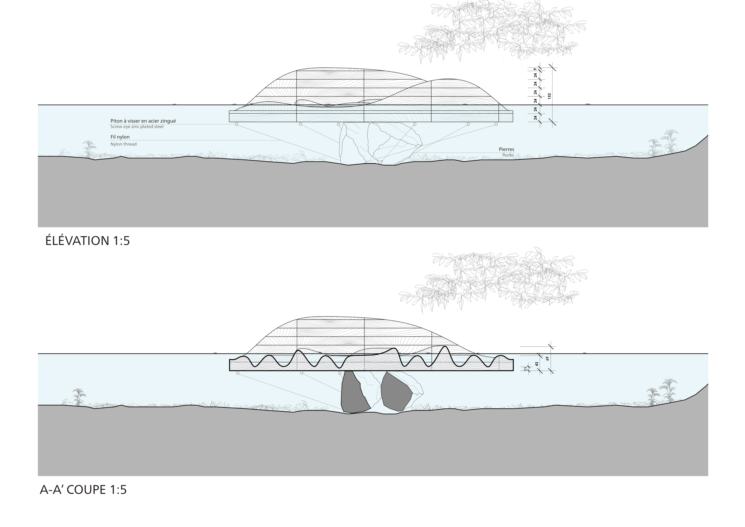 elevationsection-1.png