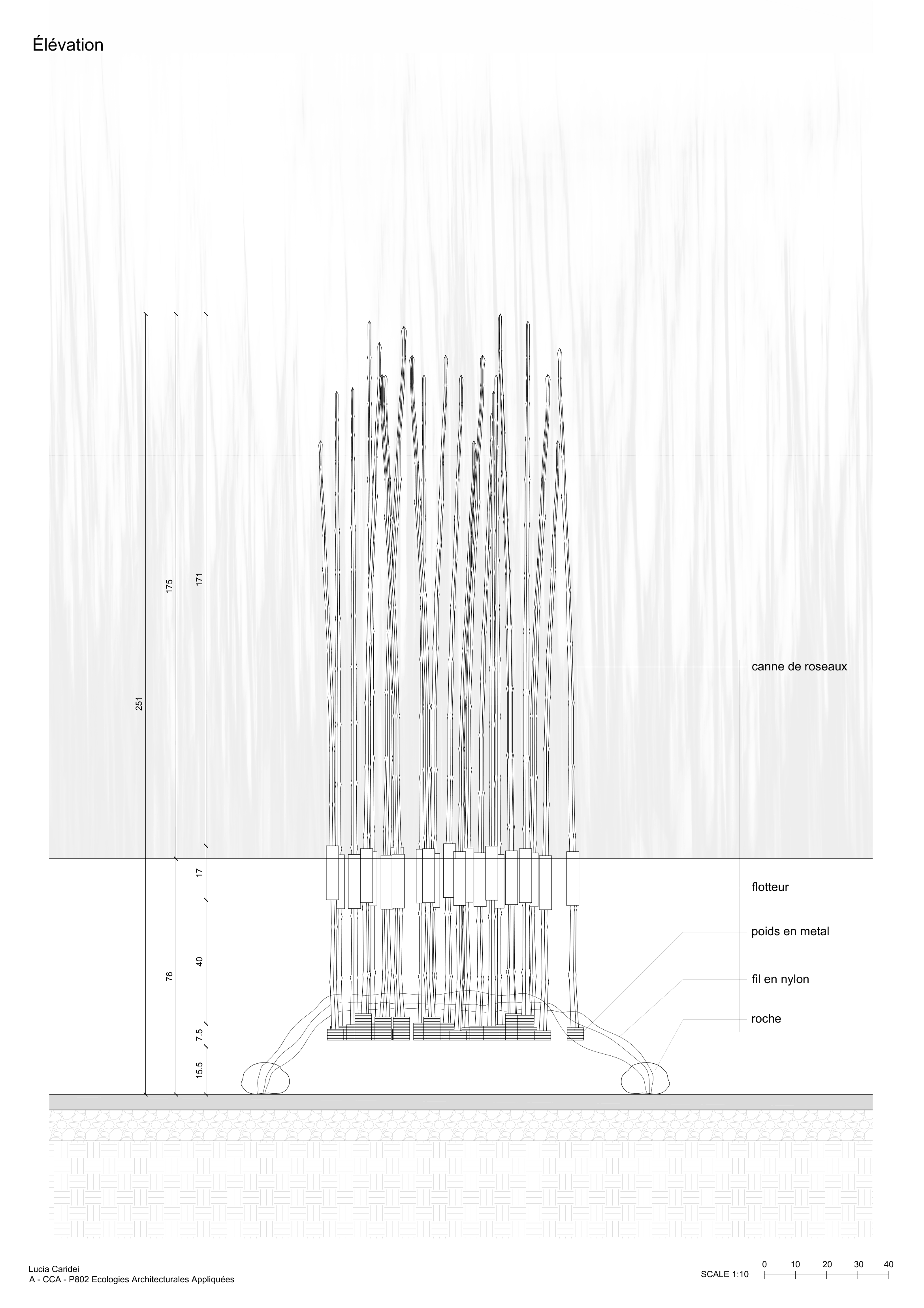 2_elevation-1.png