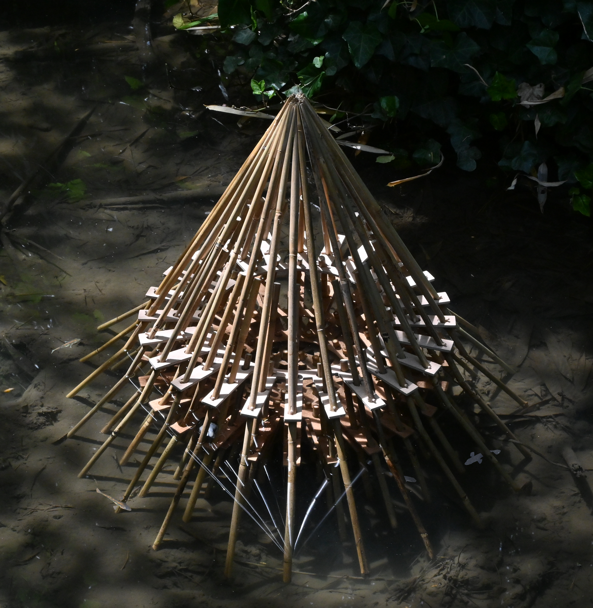 #10 - La forêt d’ombre et de lumière 