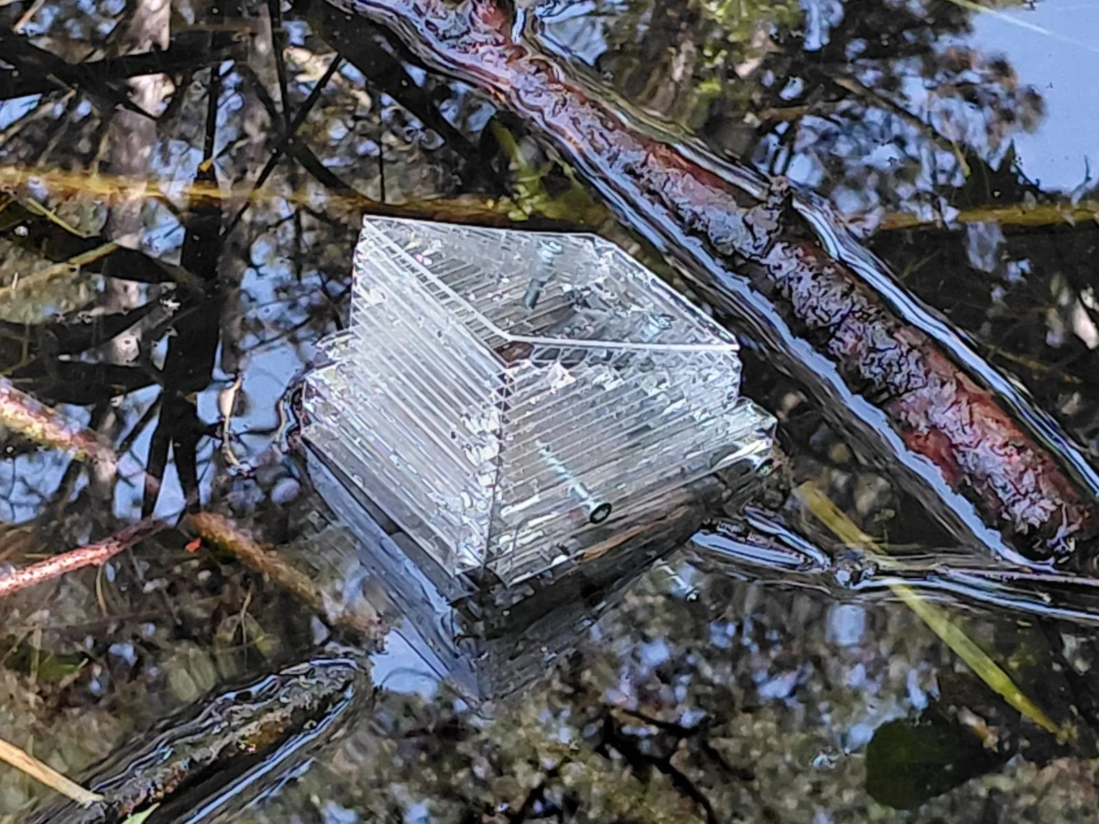 test echantillon dans l_eau.jpeg