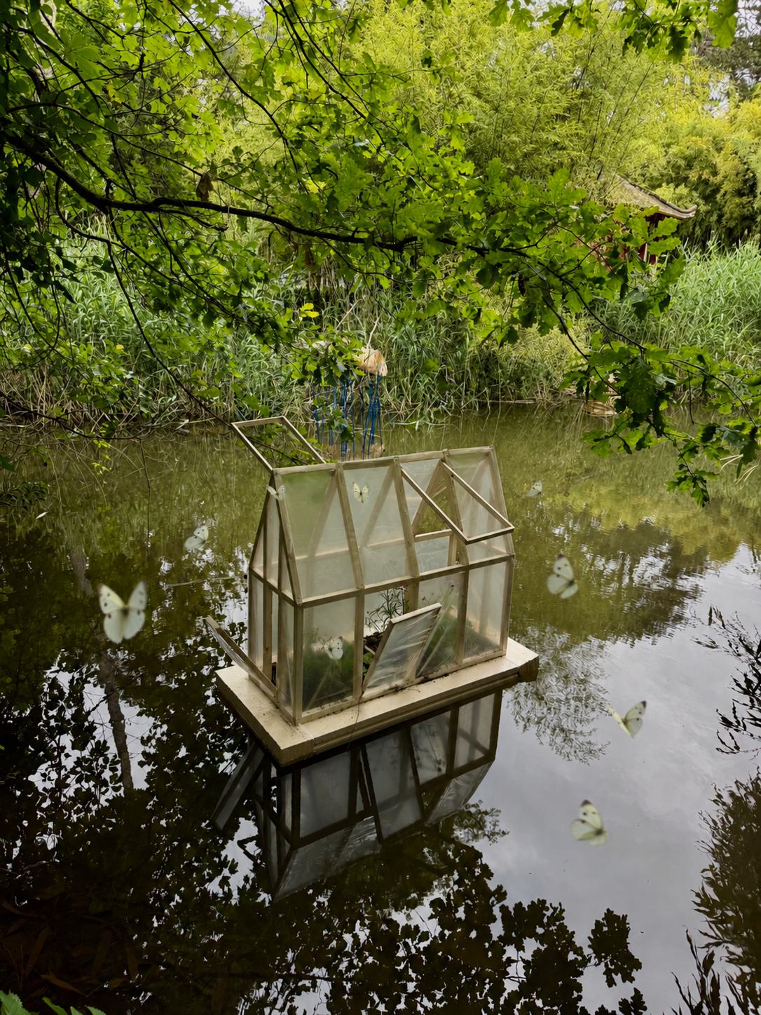#07 - Quand la nature colonise