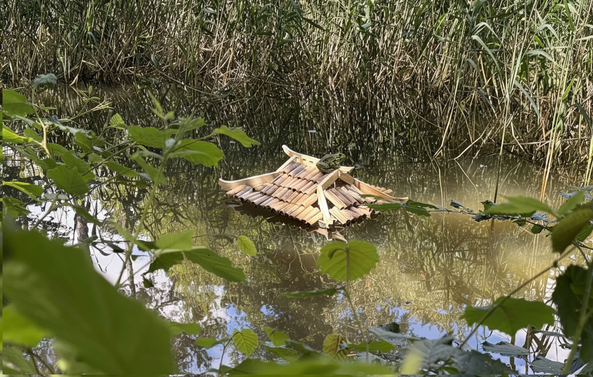 Temple des grenouilles