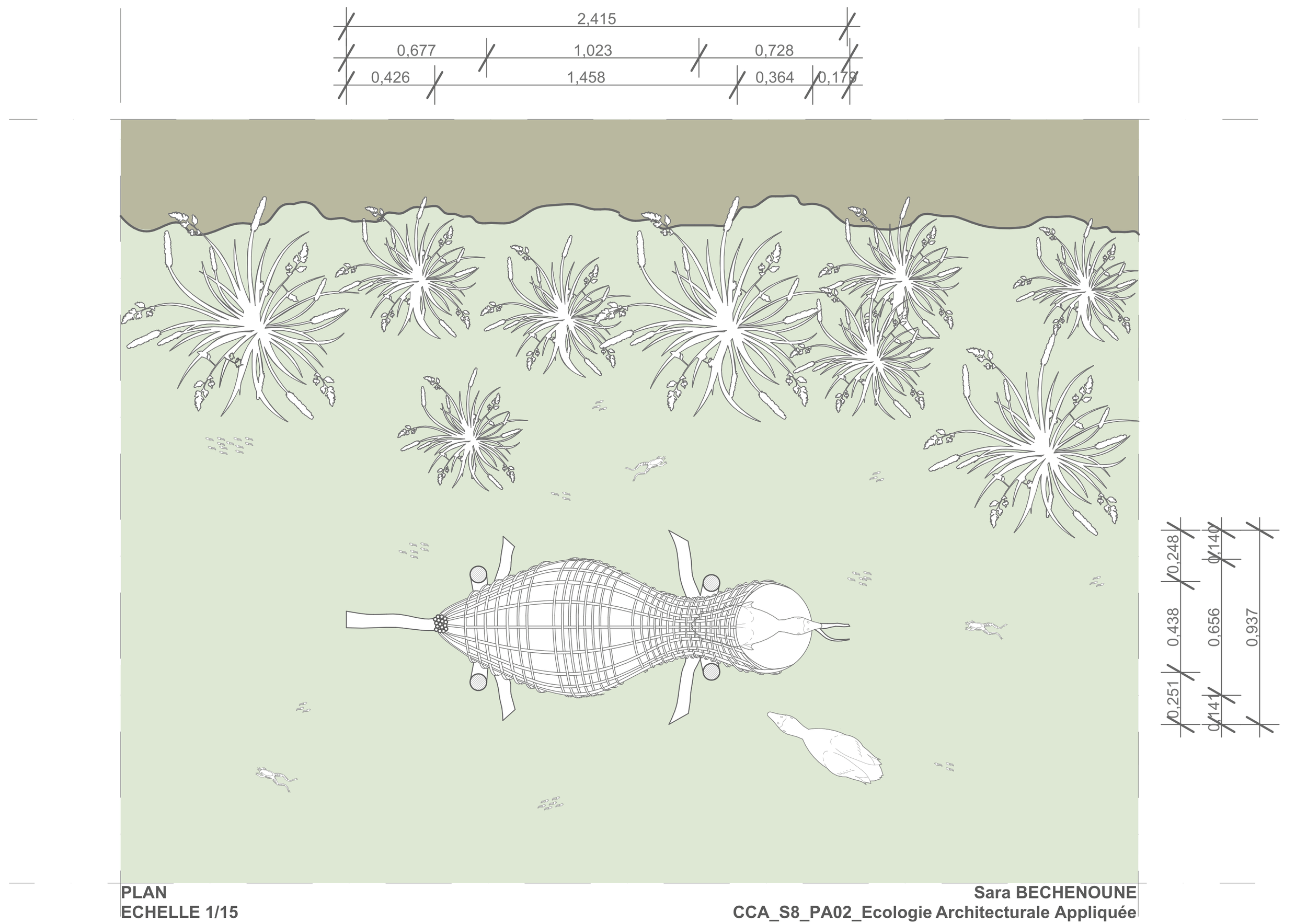 3_Plan_Plume_tresée_Sara_Bechenoune-1.png