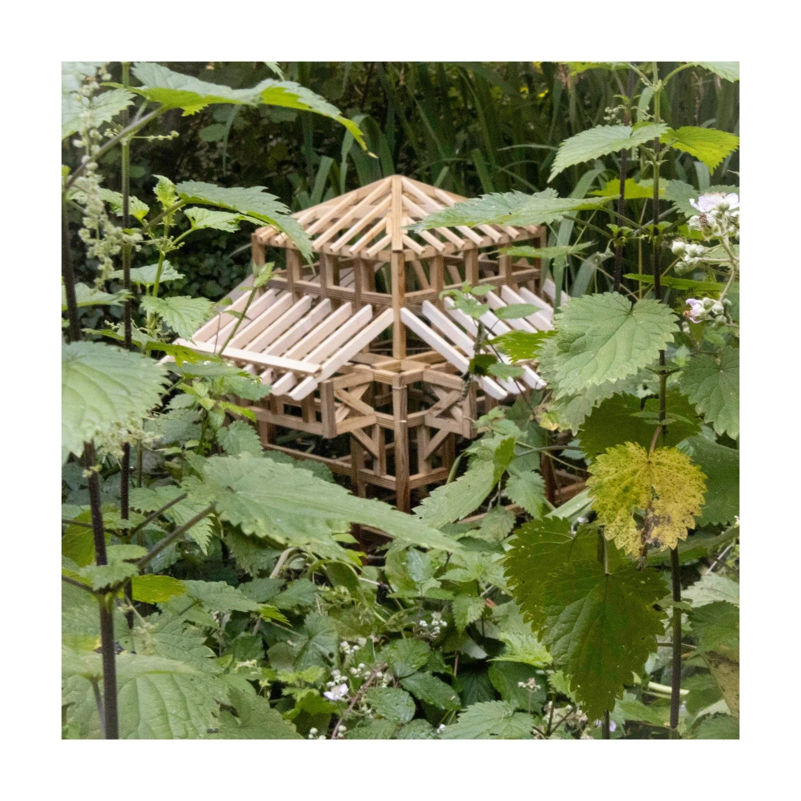#13 - Le Sanctuaire des Odonates