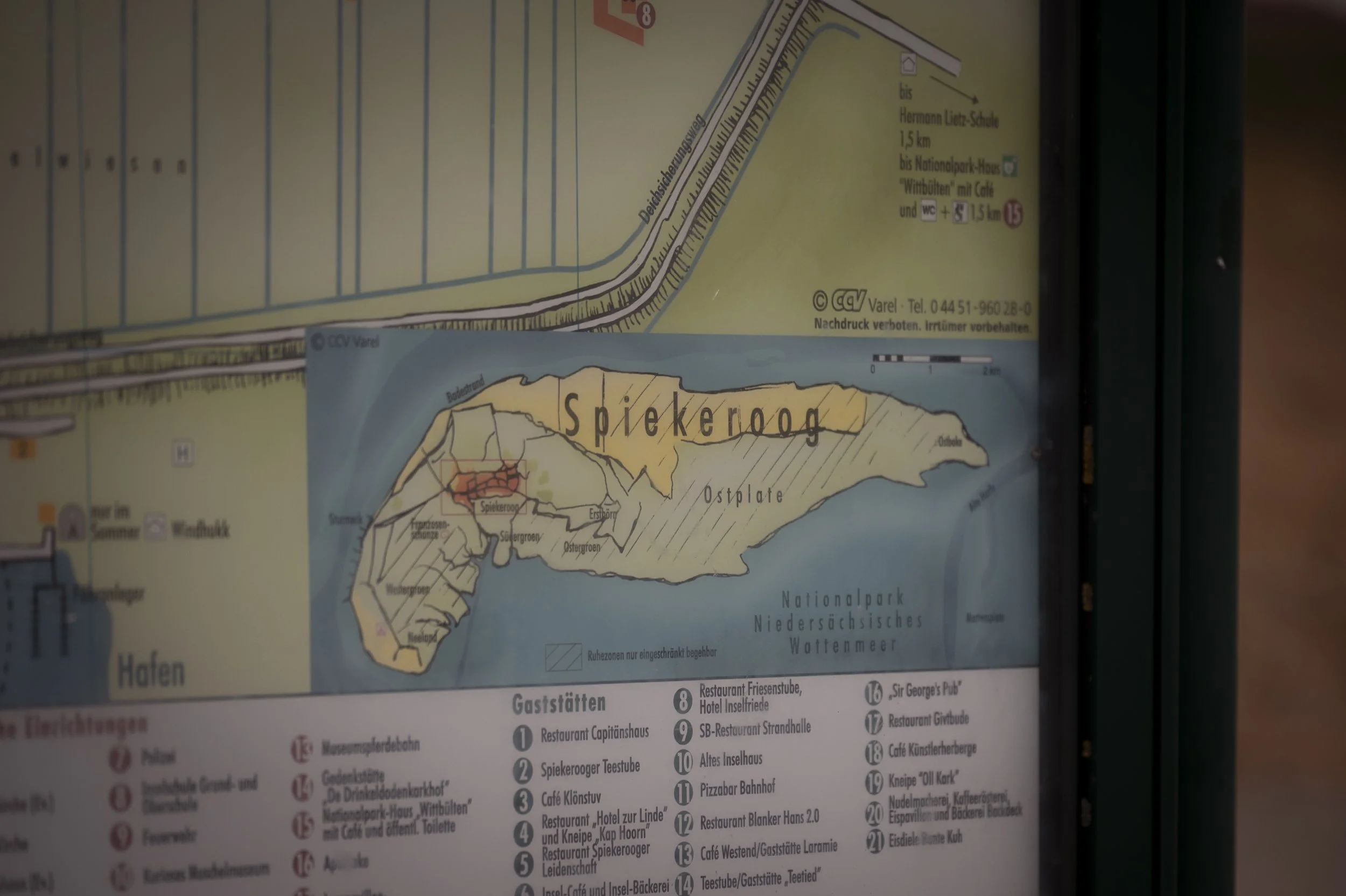 33 - 02_Denise & Ramon_16.05.2025_ (1) (11 von 349).jpg