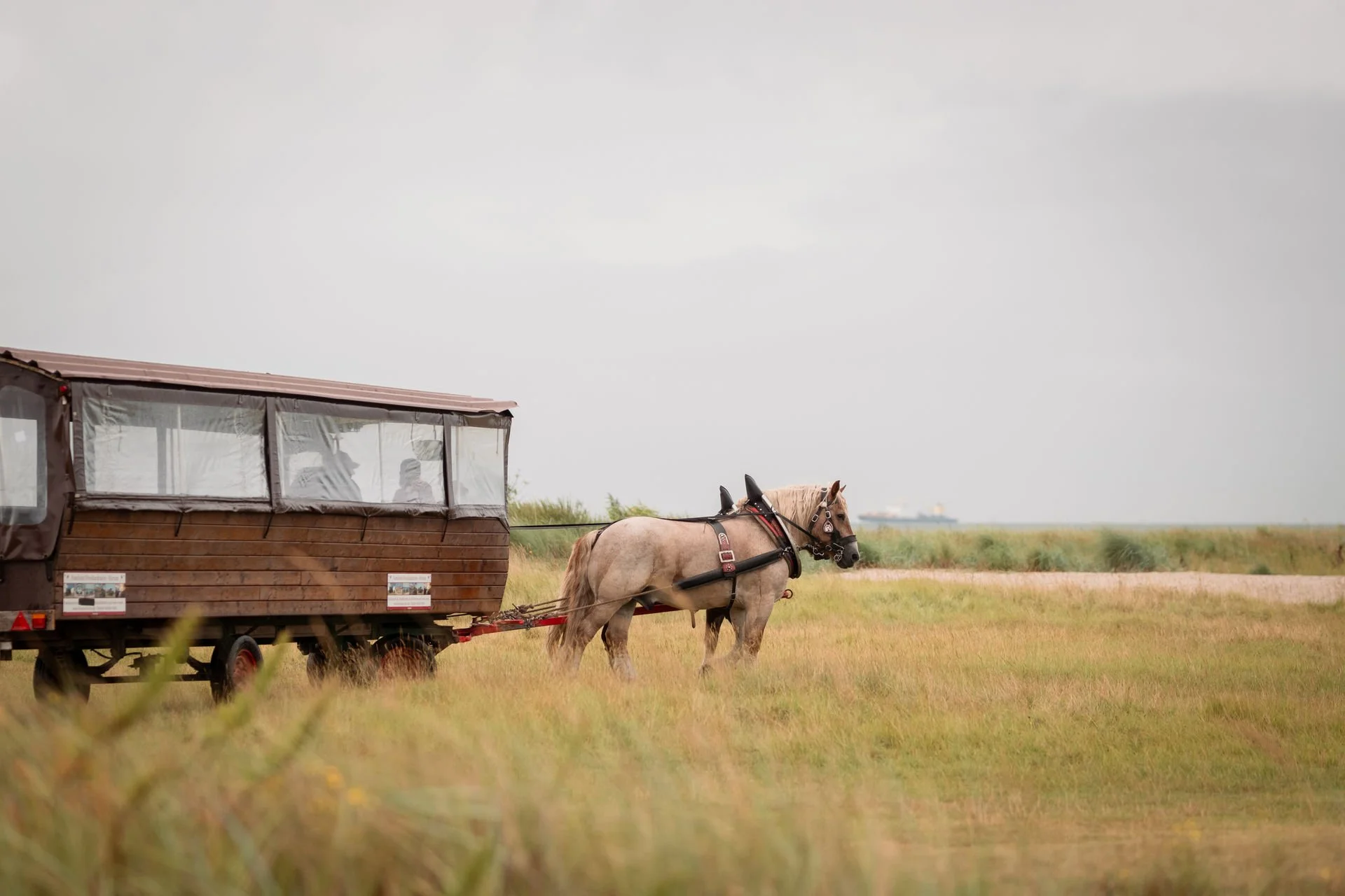 Martin & Kati Heiraten Schillig Trauung (14).jpg