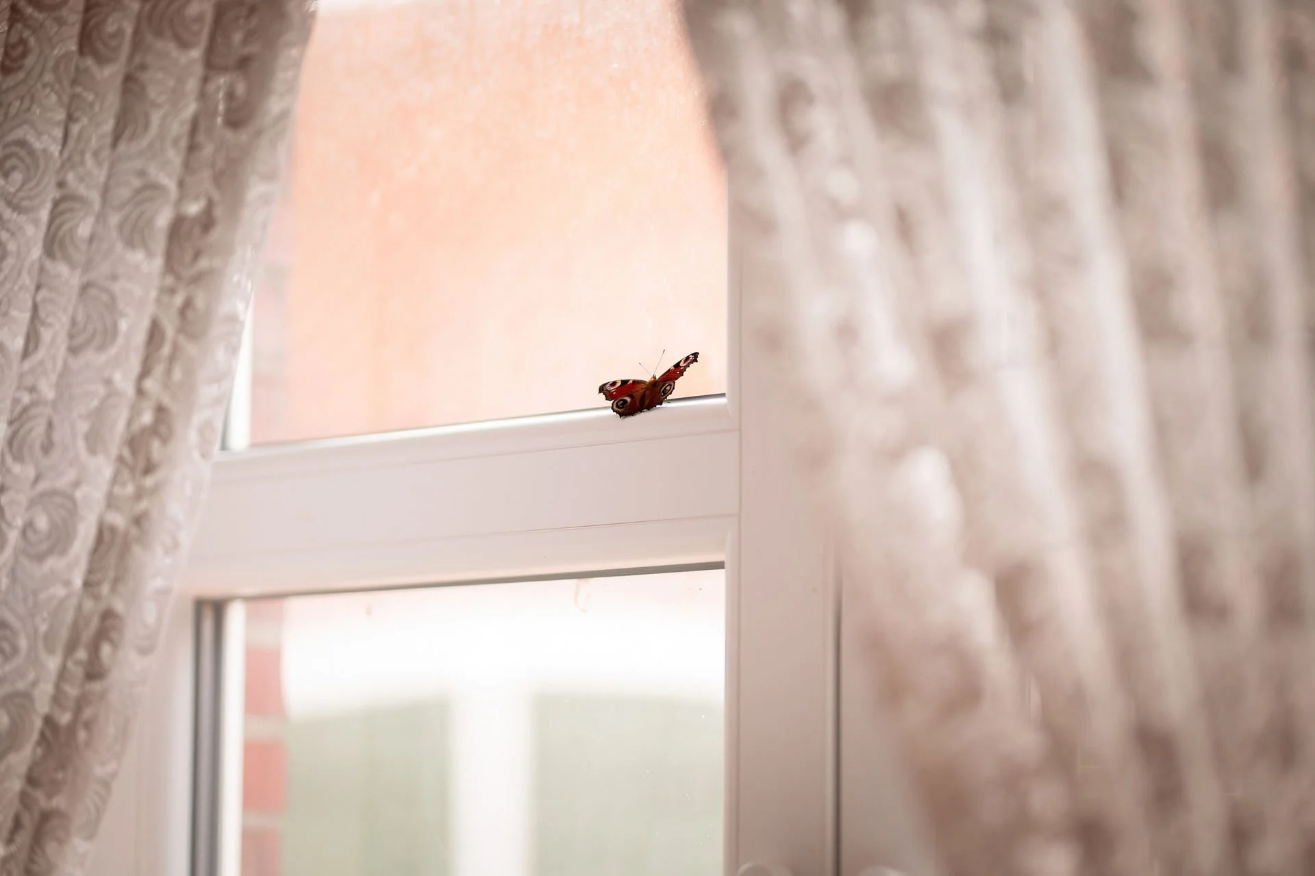 24 - 01_Wiebke & Michel_28.07.2023-72.jpg