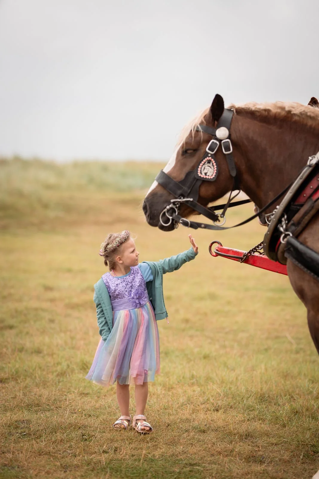 Martin & Kati Heiraten Schillig Trauung (12).jpg