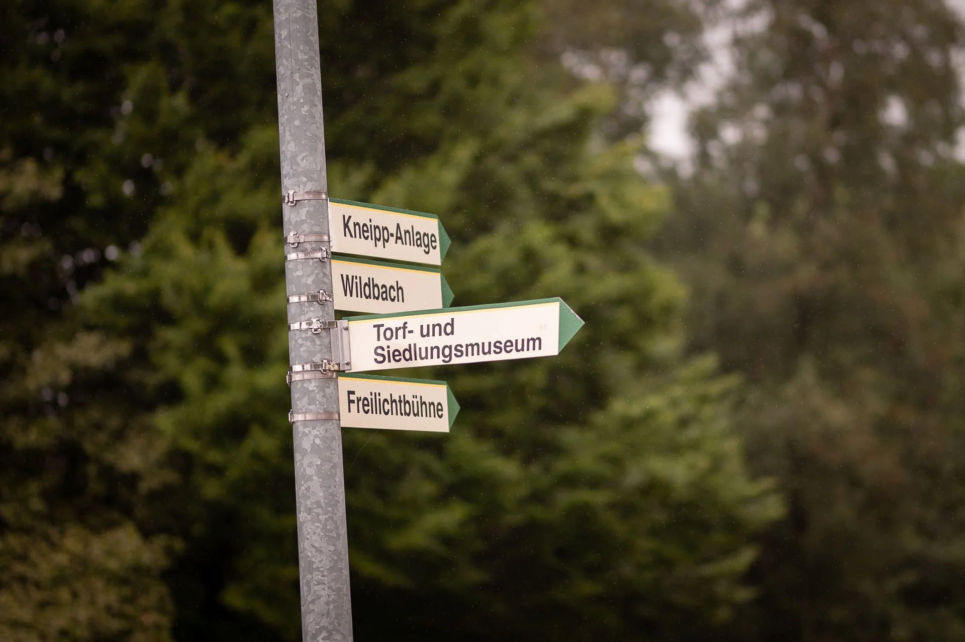 Hochzeitsfotograf Aurich Wiesmoor Blumenhalle standesamtliche Trauung Hochzeitsfotografin 