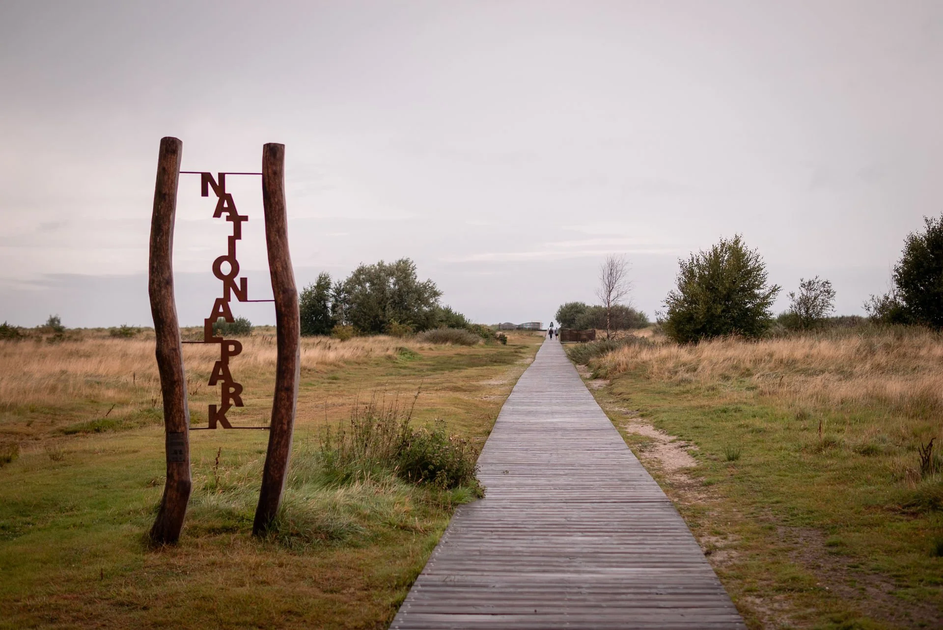 Martin & Kati Heiraten Schillig Trauung (2).jpg