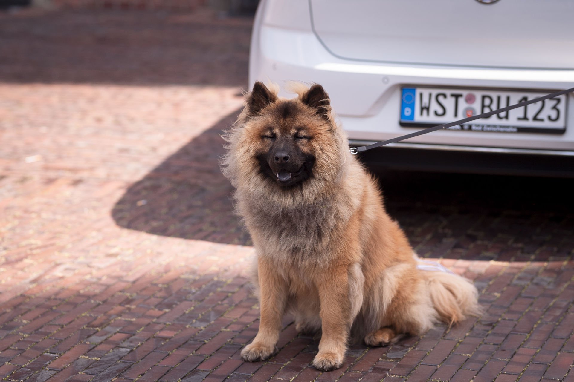 169 - 02_Dorle&Jan_16.06.2023 (65 von 90).jpg