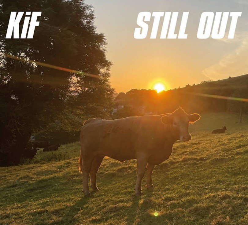 The Sanctuary Series : STILL OUT