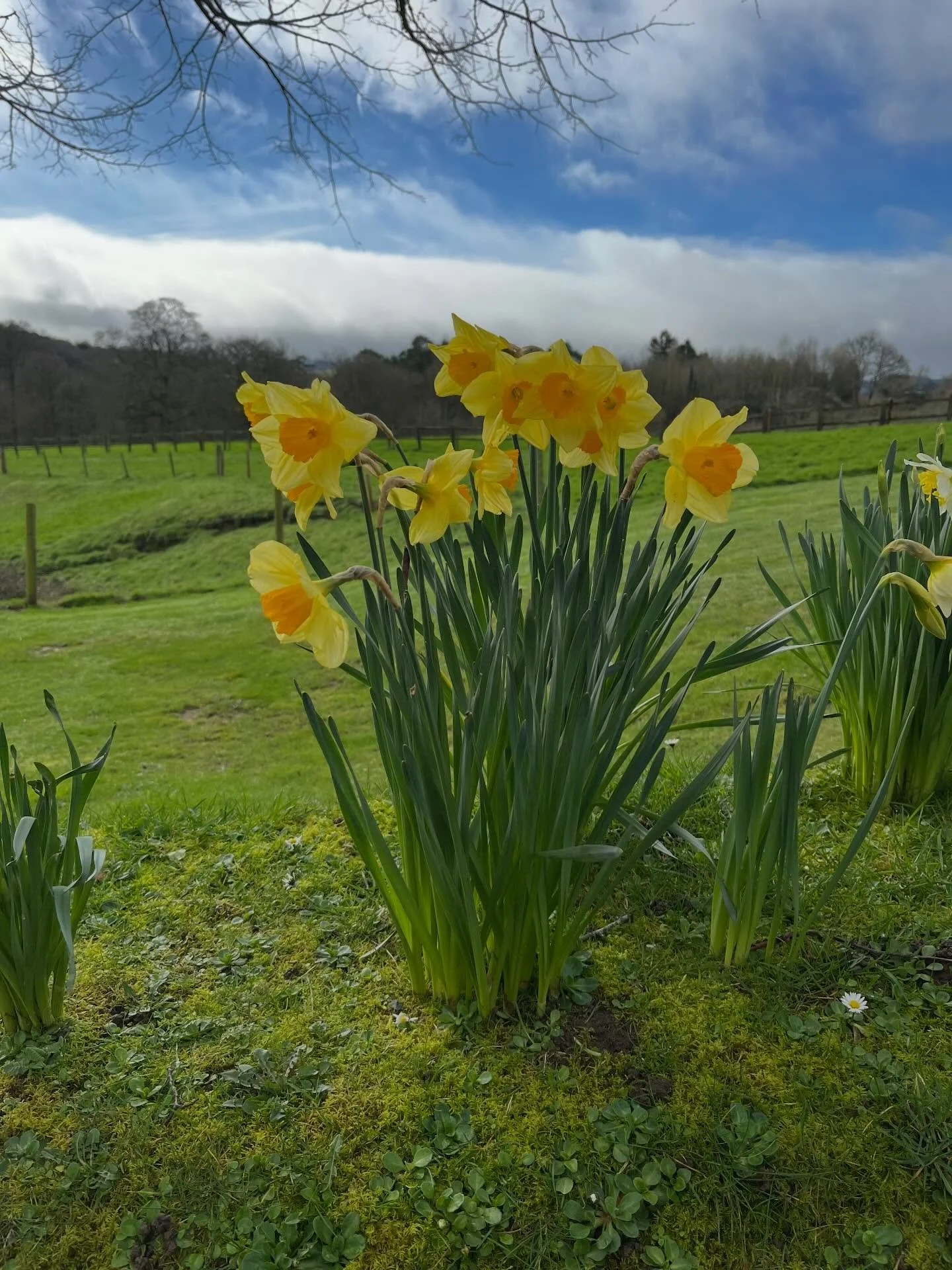 When I was a Headteacher, I would often go to work and be completely absorbed. I would look up and months had gone past. Seasons had changed, children had grown in the world had moved on around me.

This week I&rsquo;m working in Devon with a lovely 