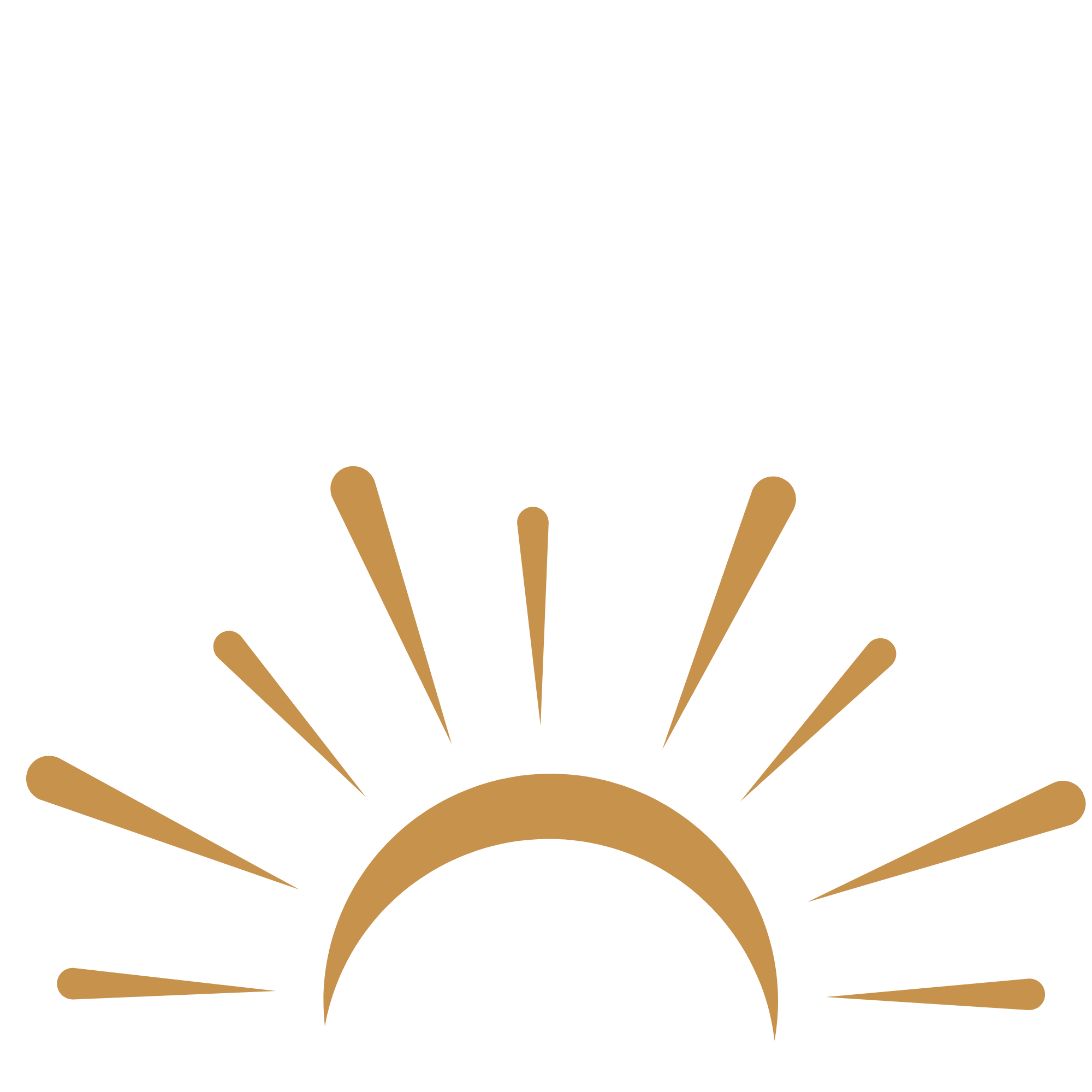 Black background with a minimalist firework design in shades of brown and gold.