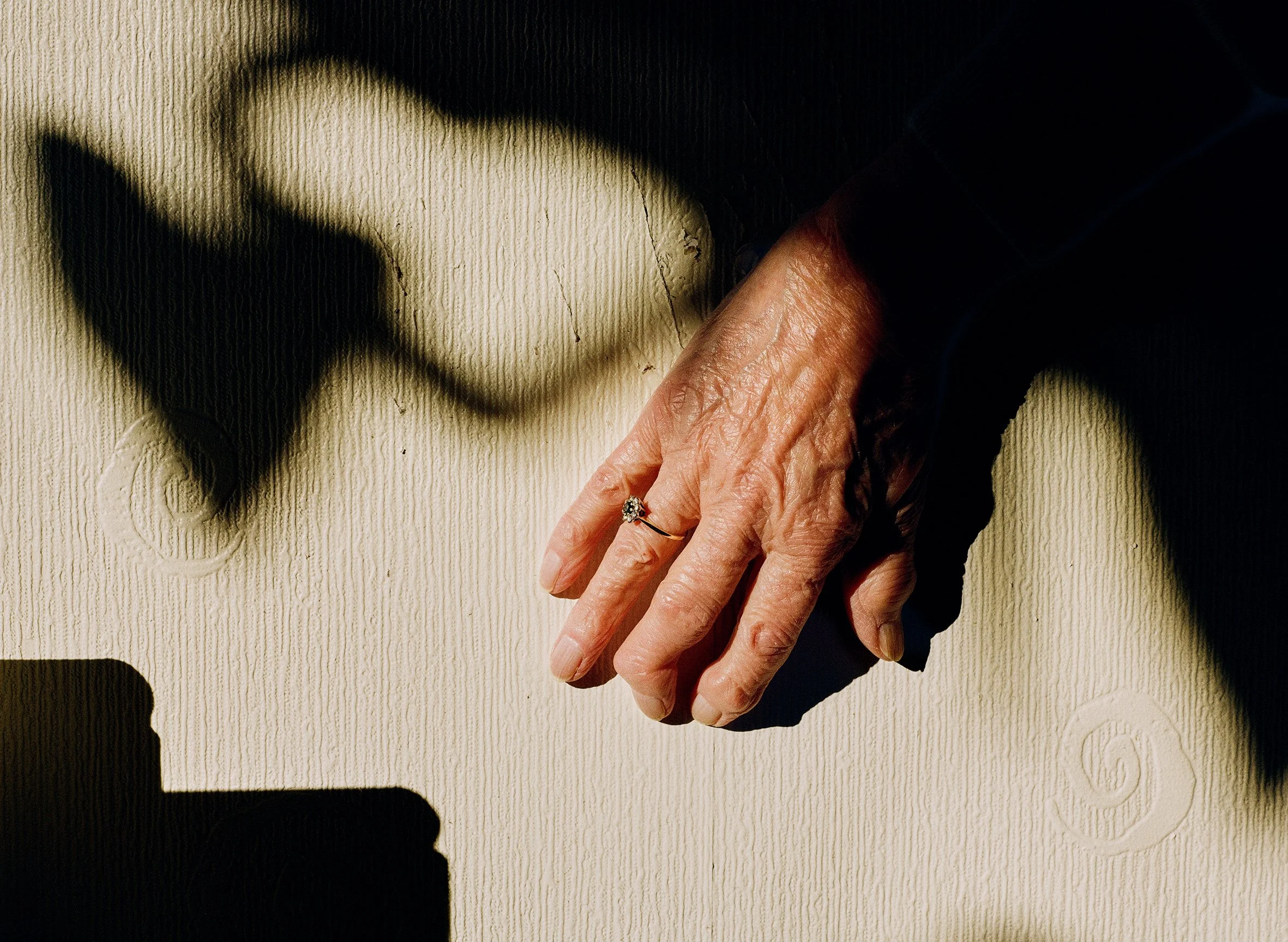 000065000005 new 1 copy.jpg